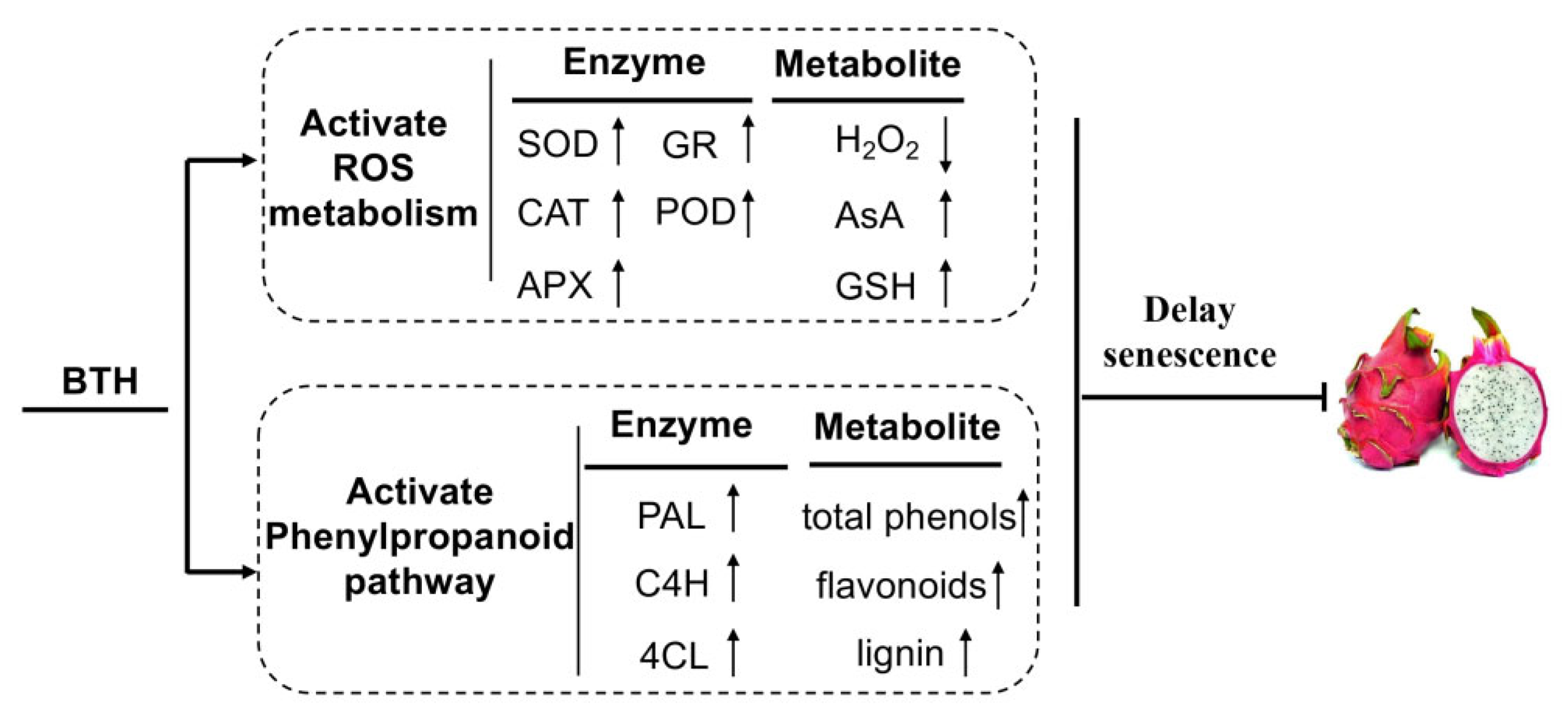 Foods 10 00846 g007 Foods 10 00846 g007