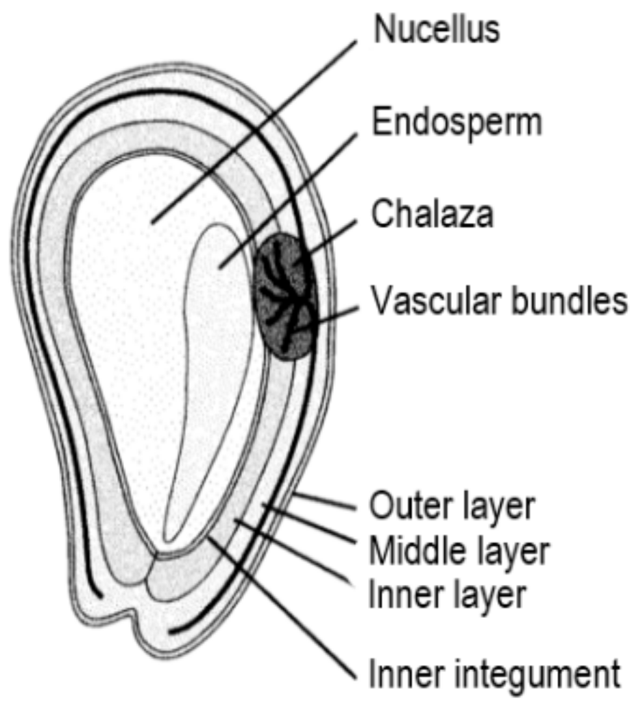 Foods 10 00867 g003 Foods 10 00867 g003
