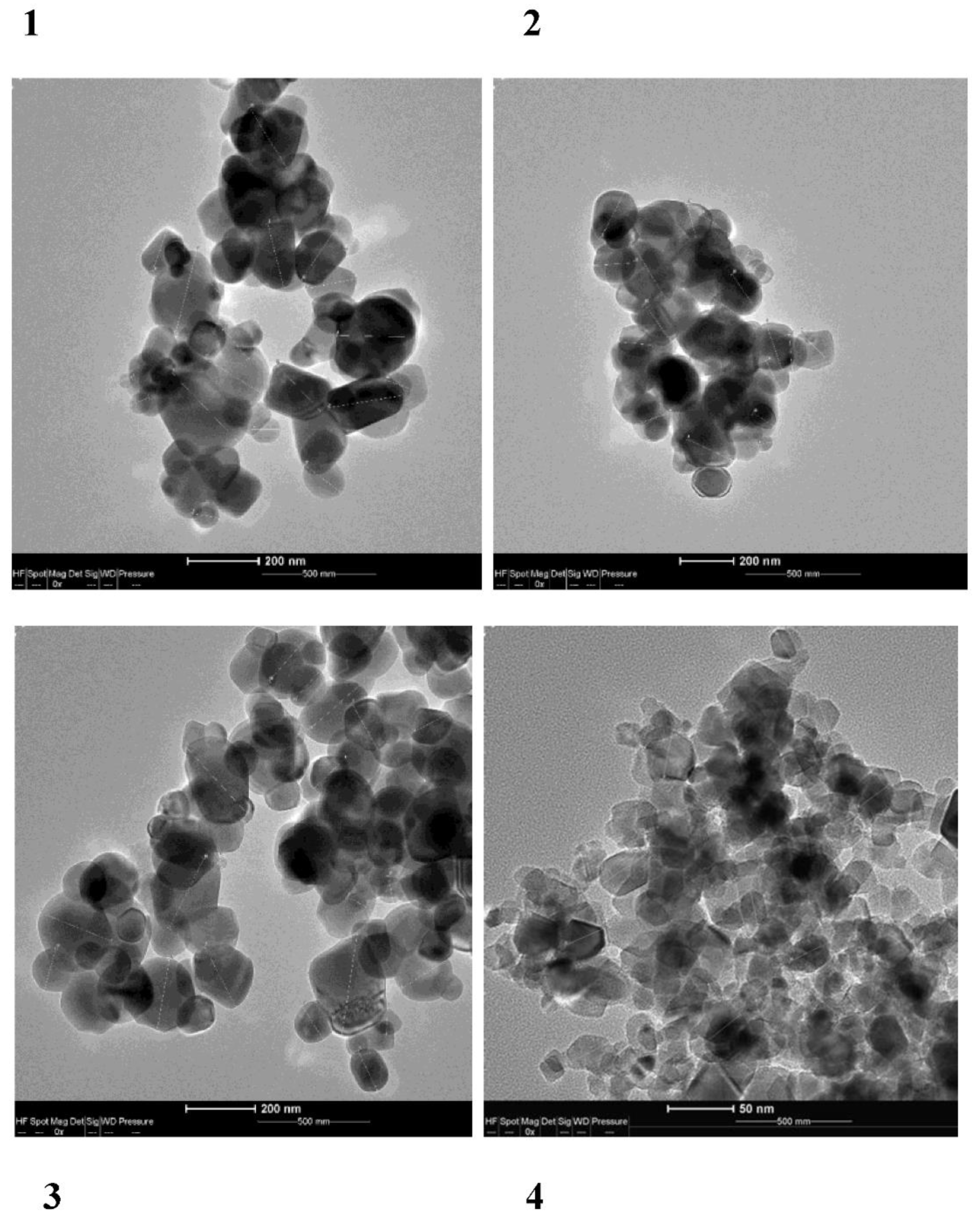 Foods 10 00939 g001 Foods 10 00939 g001