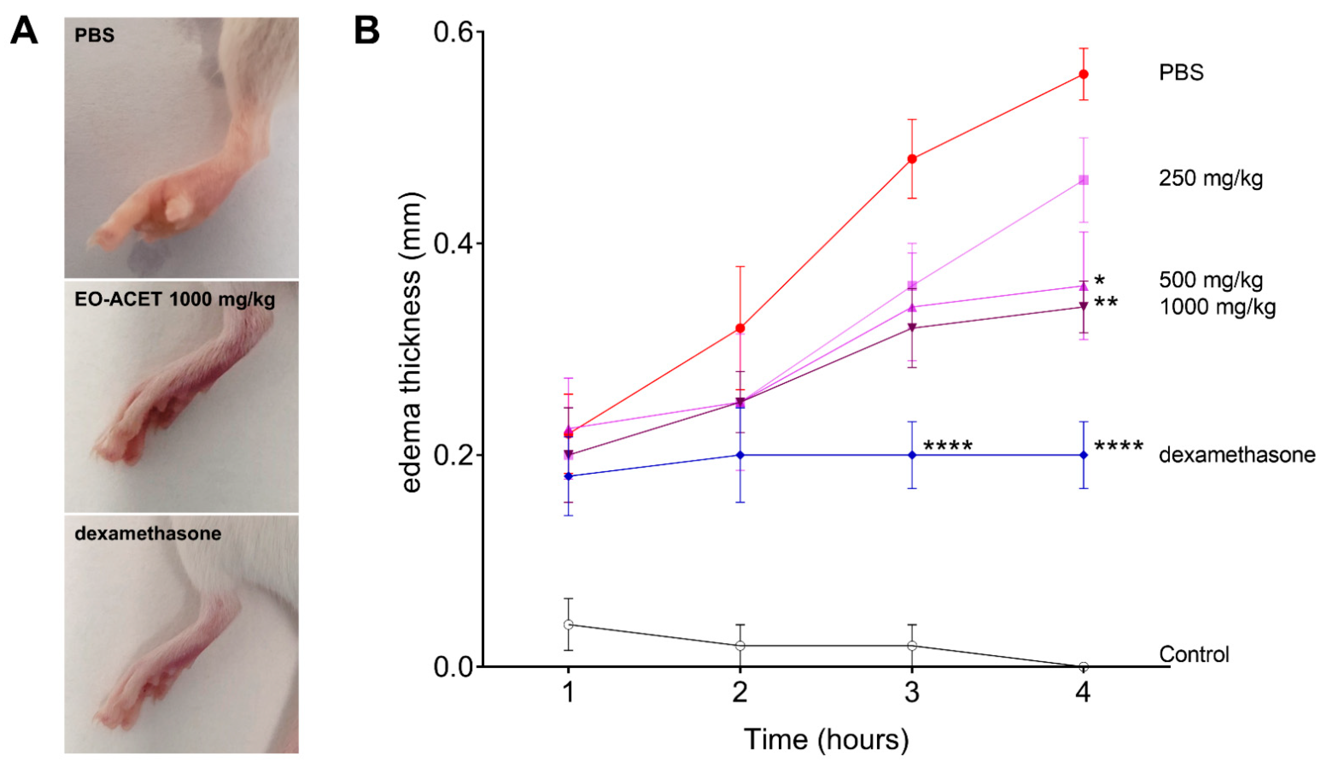 Foods 10 01014 g005 Foods 10 01014 g005