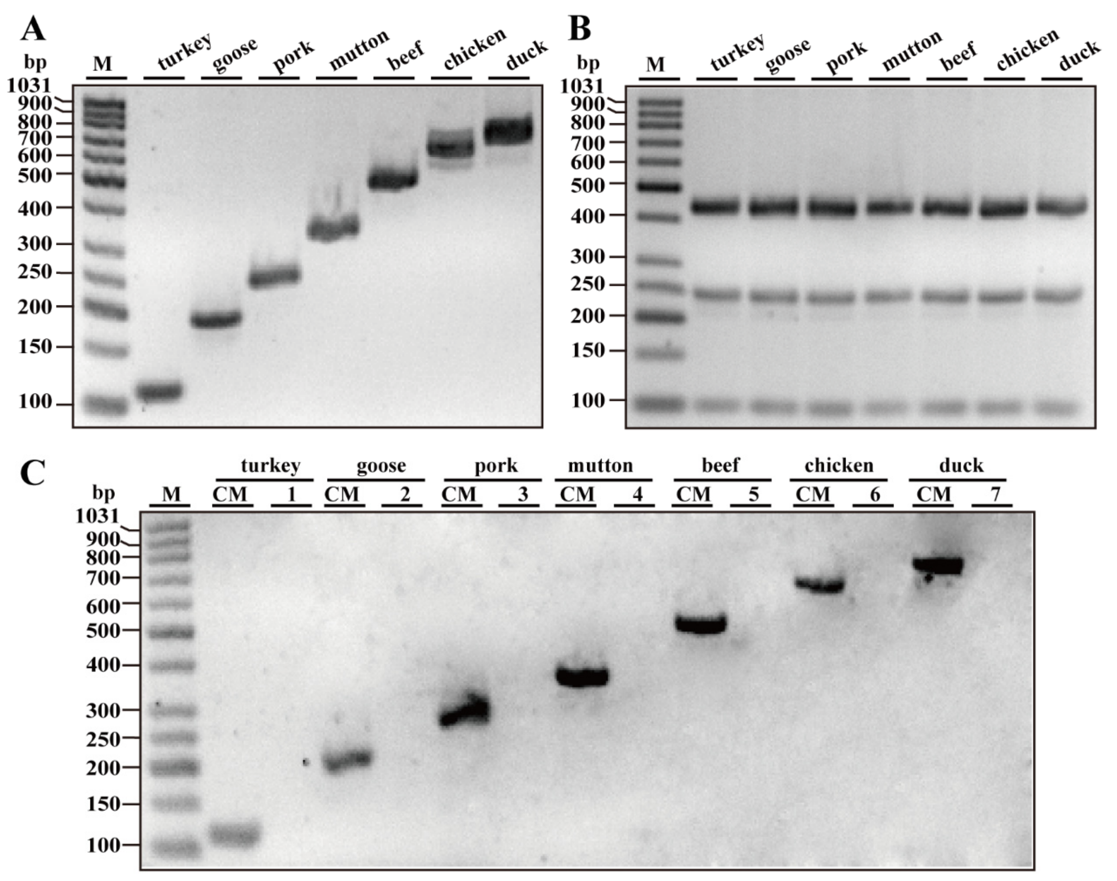 Foods 10 01083 g001 Foods 10 01083 g001