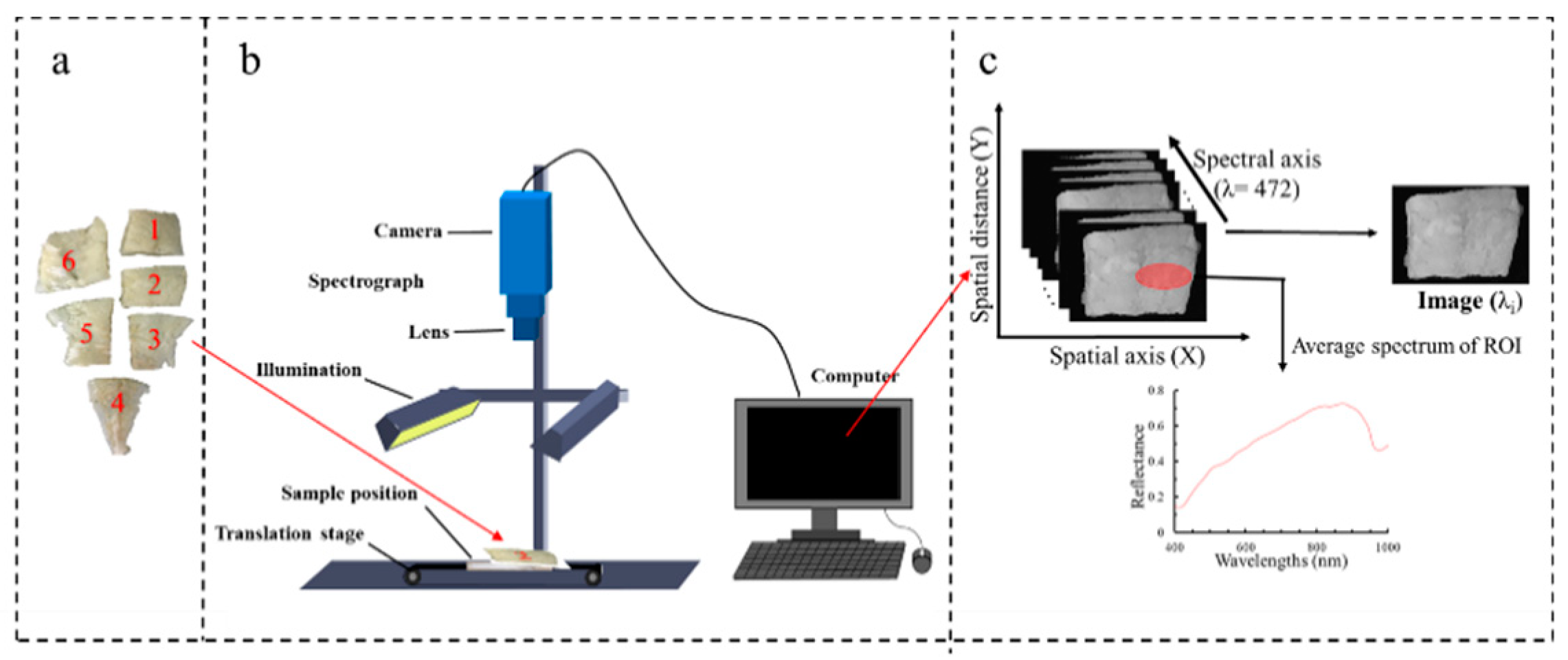 Foods 10 01161 g001 Foods 10 01161 g001