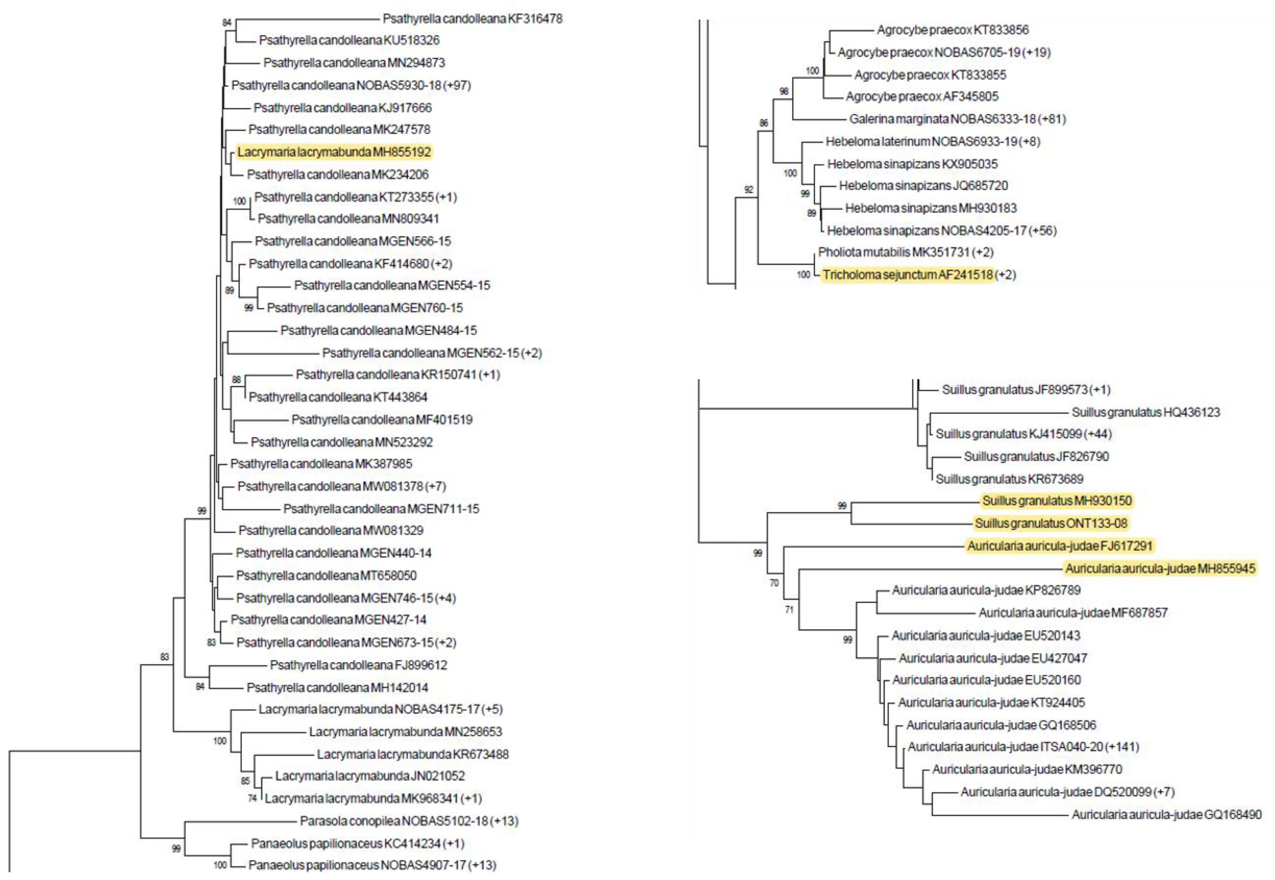 Foods 10 01193 g002 Foods 10 01193 g002