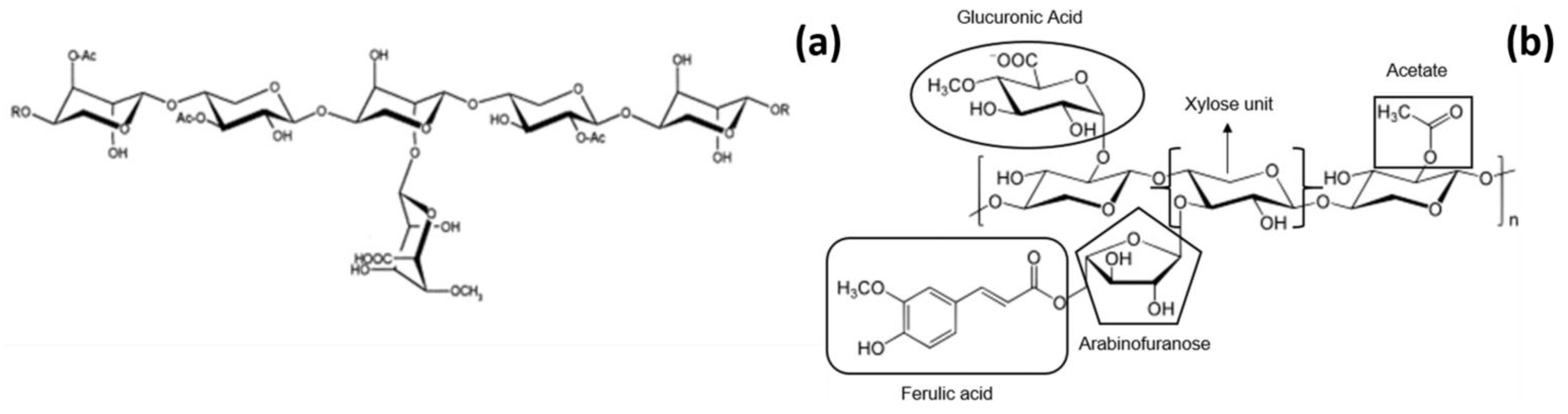 Foods 10 01197 g001 Foods 10 01197 g001