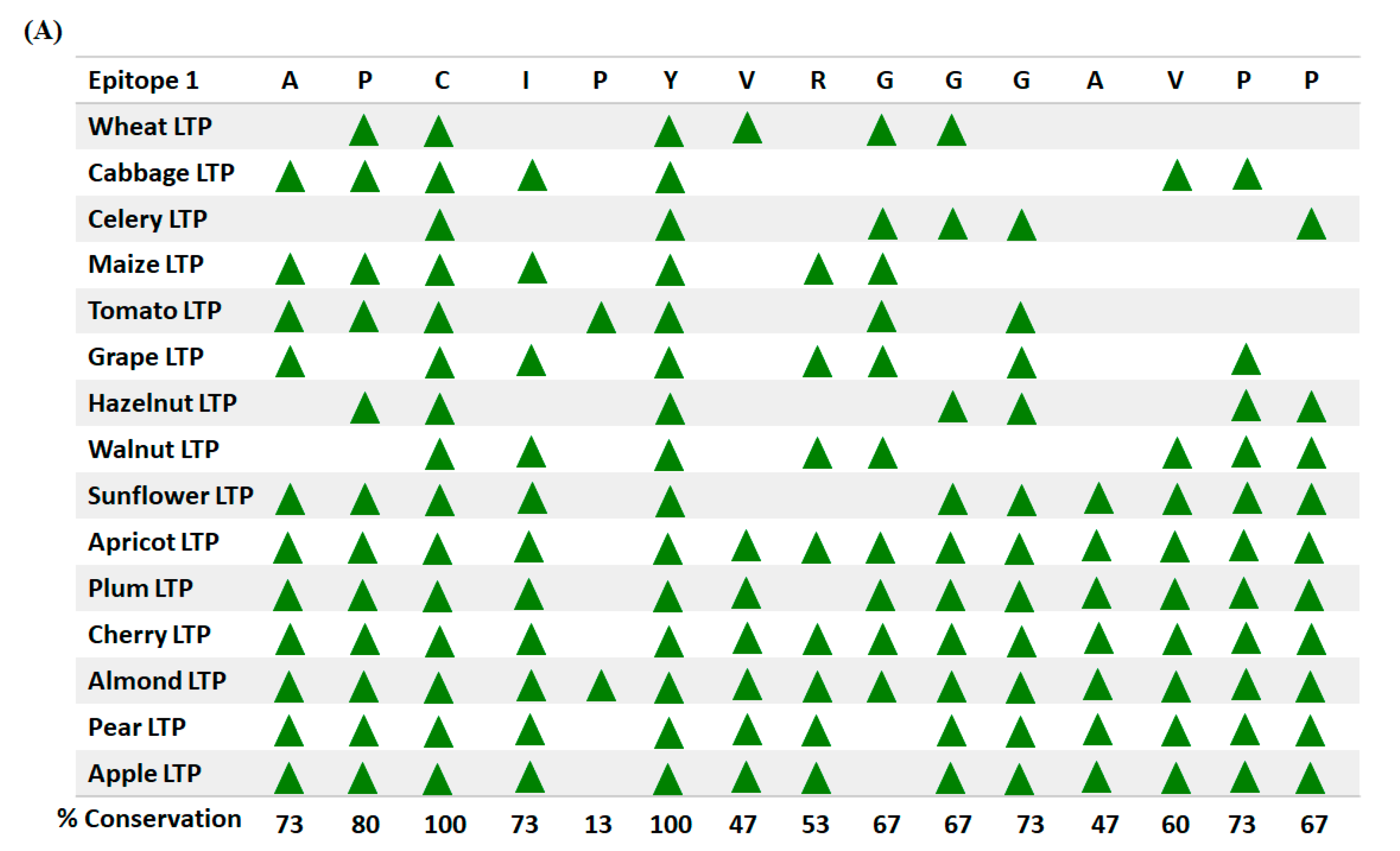 Foods 10 01269 g005a