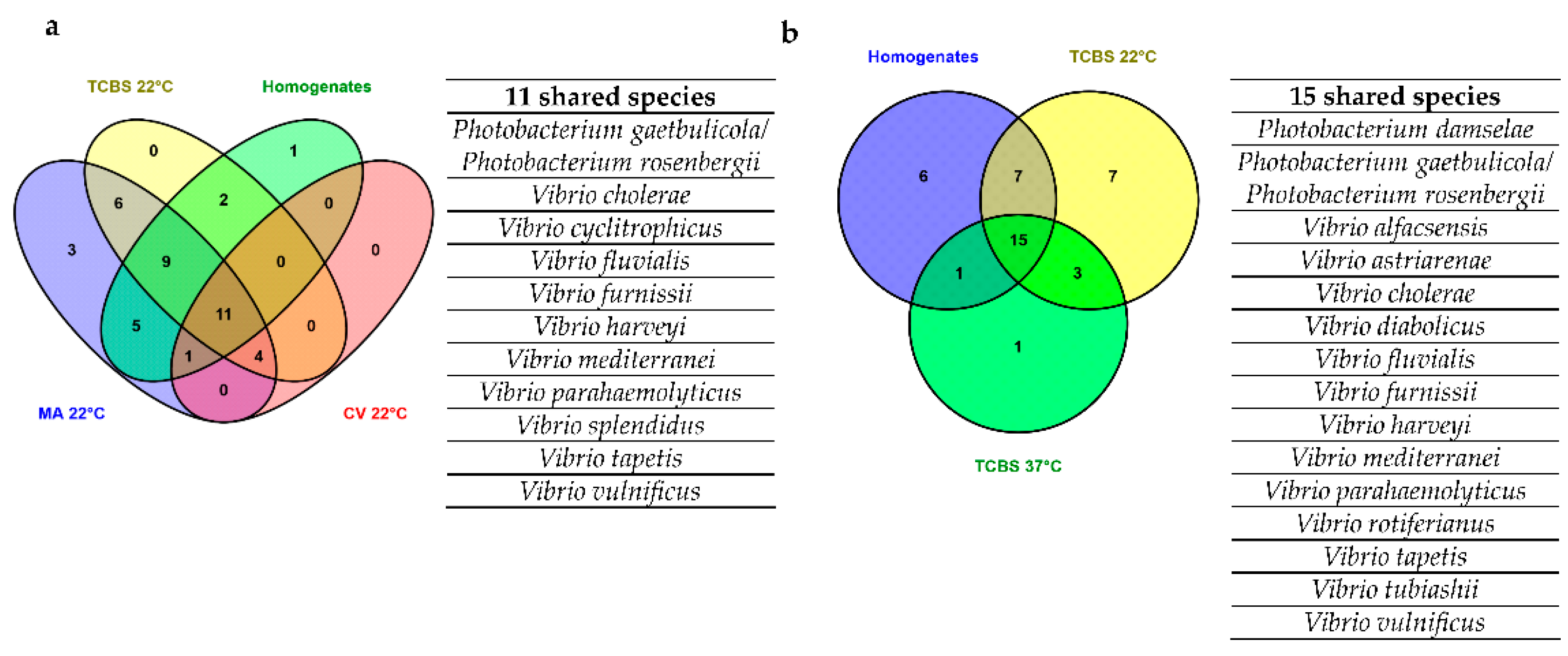 Foods 10 01271 g004 Foods 10 01271 g004