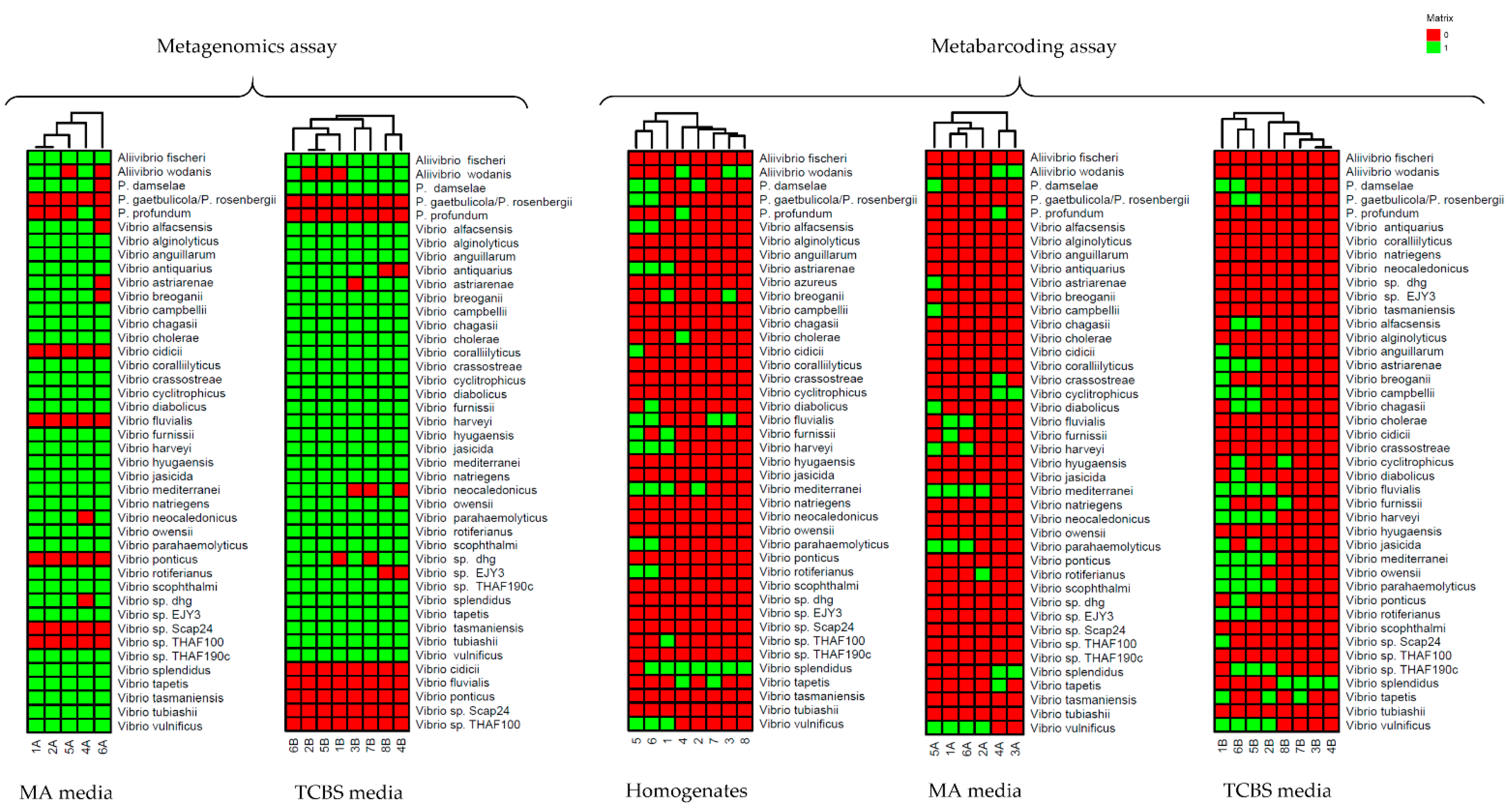 Foods 10 01271 g006 Foods 10 01271 g006