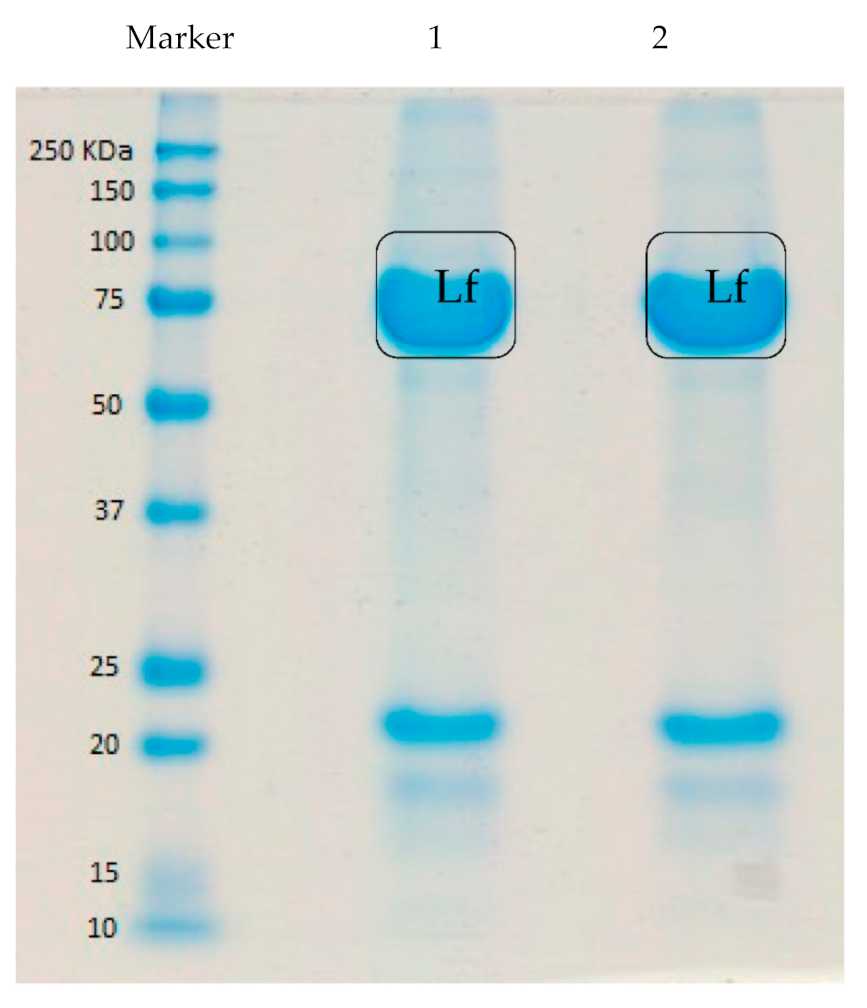 Foods 10 01305 g002 Foods 10 01305 g002