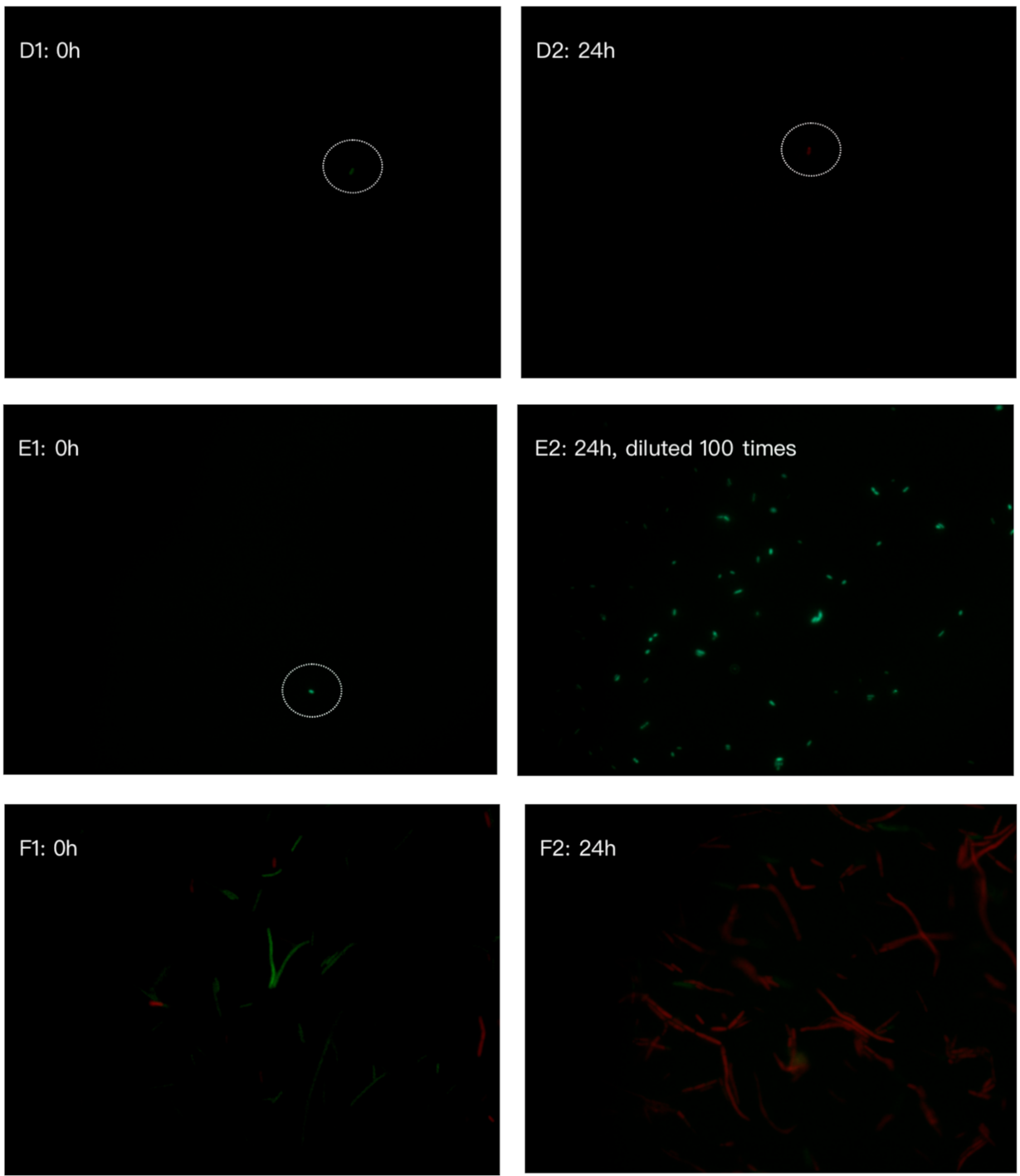 Foods 10 01305 g004b Foods 10 01305 g004b