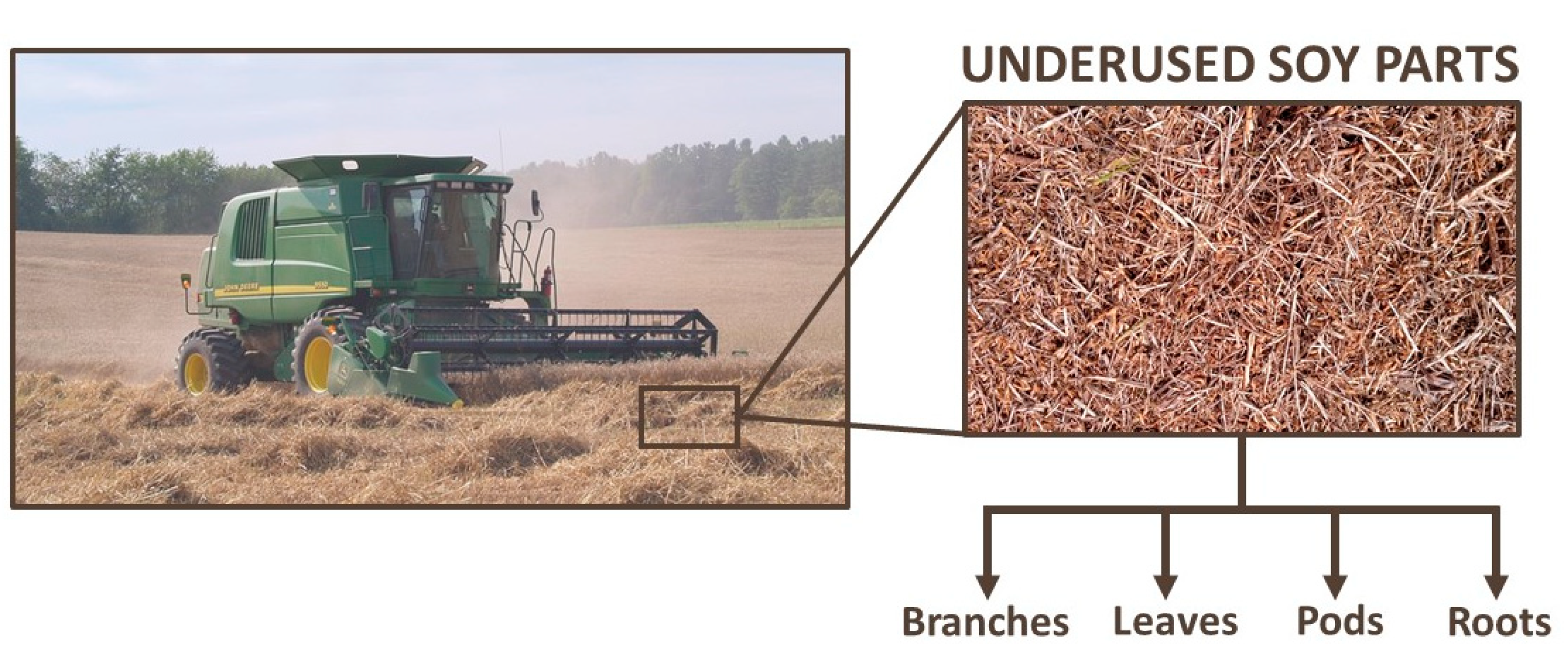 Foods 10 01308 g003 Foods 10 01308 g003