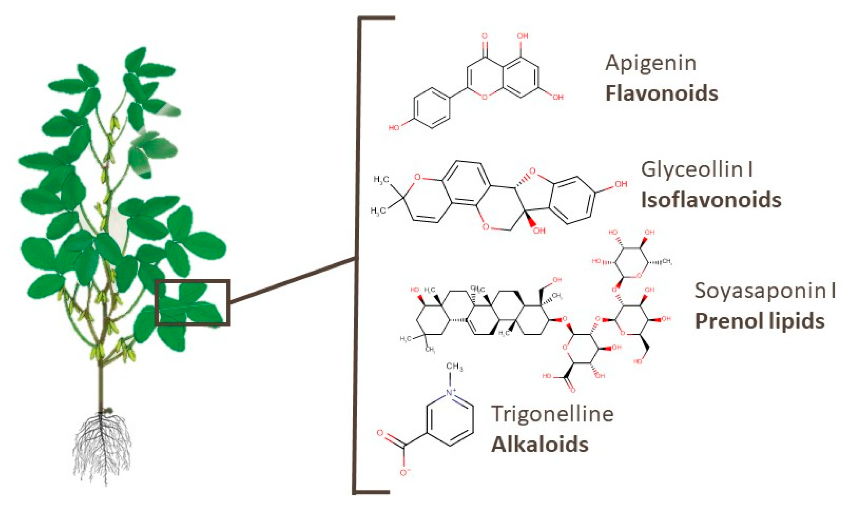 Foods 10 01308 g006 Foods 10 01308 g006