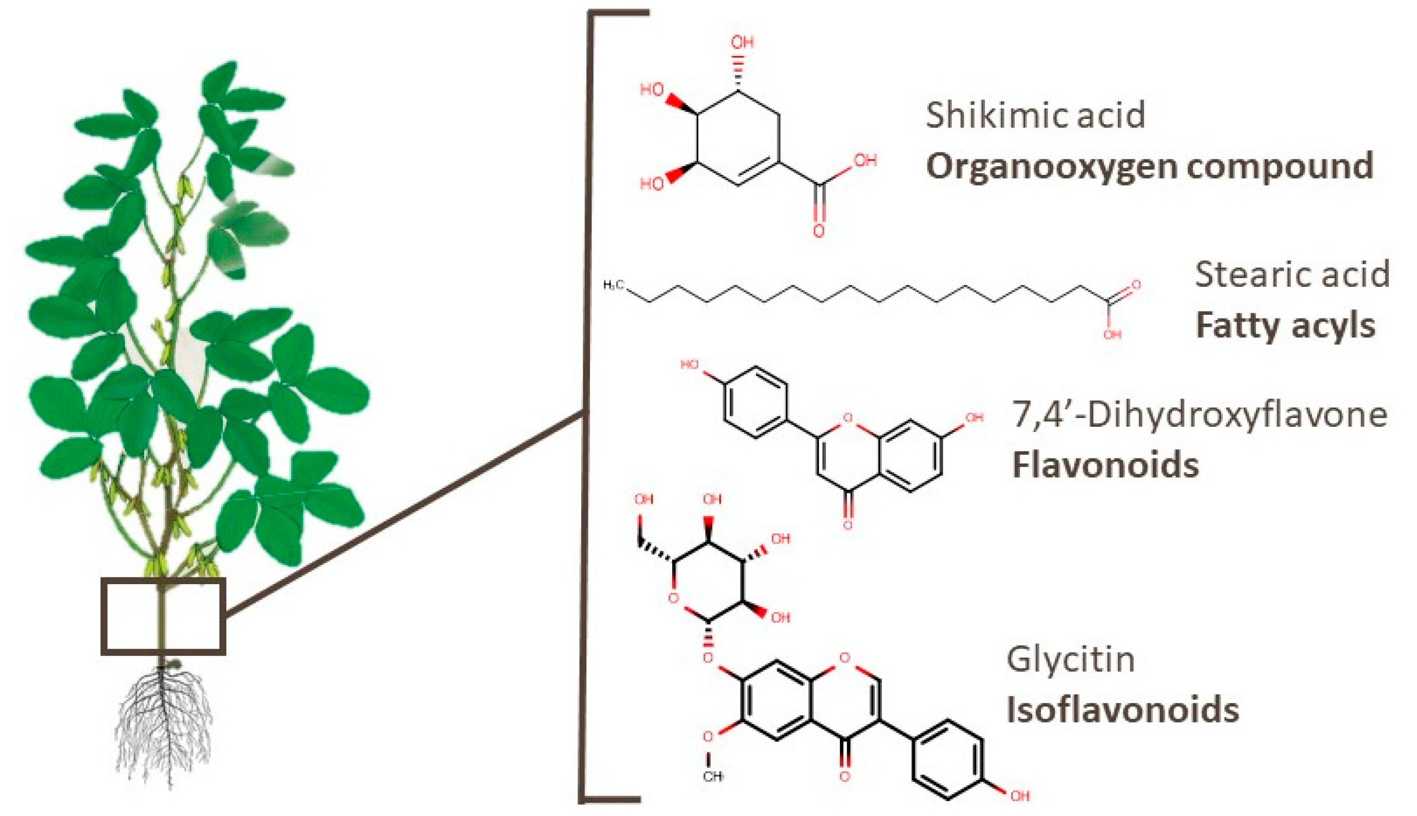 Foods 10 01308 g007 Foods 10 01308 g007