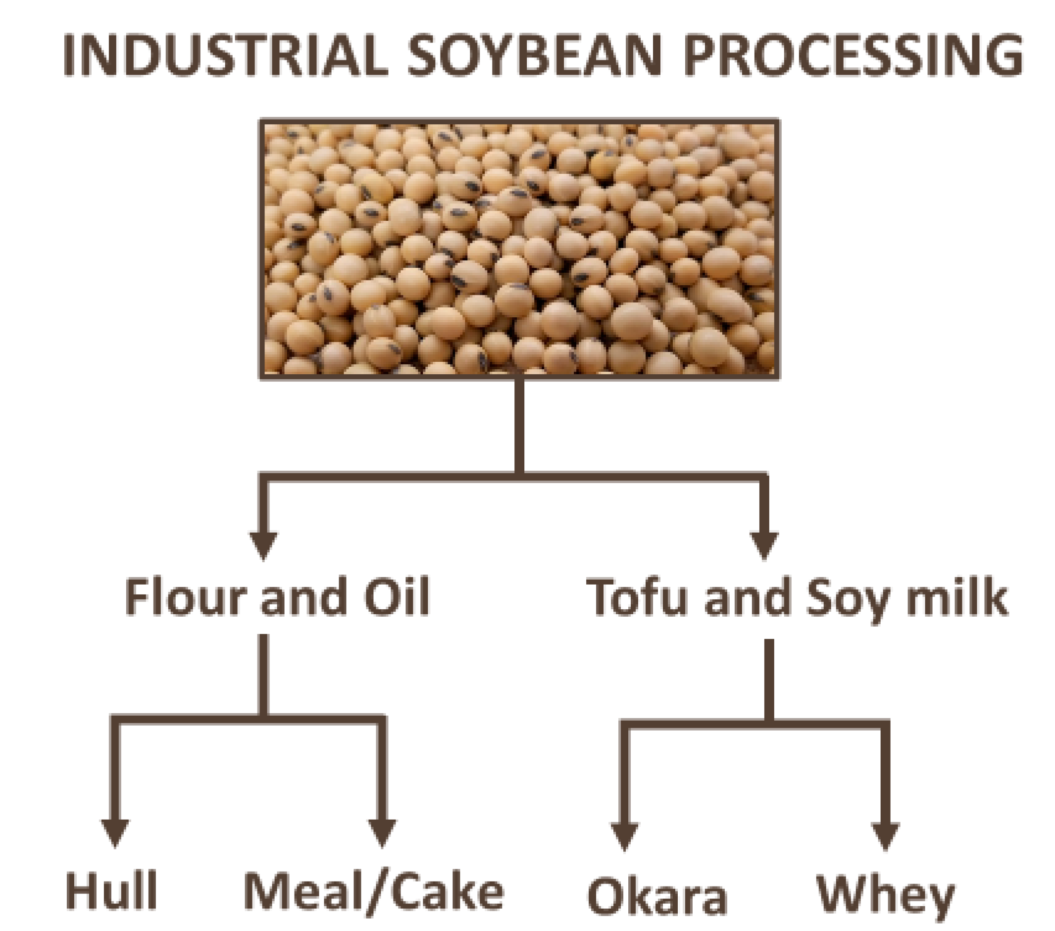 Foods 10 01308 g009 Foods 10 01308 g009