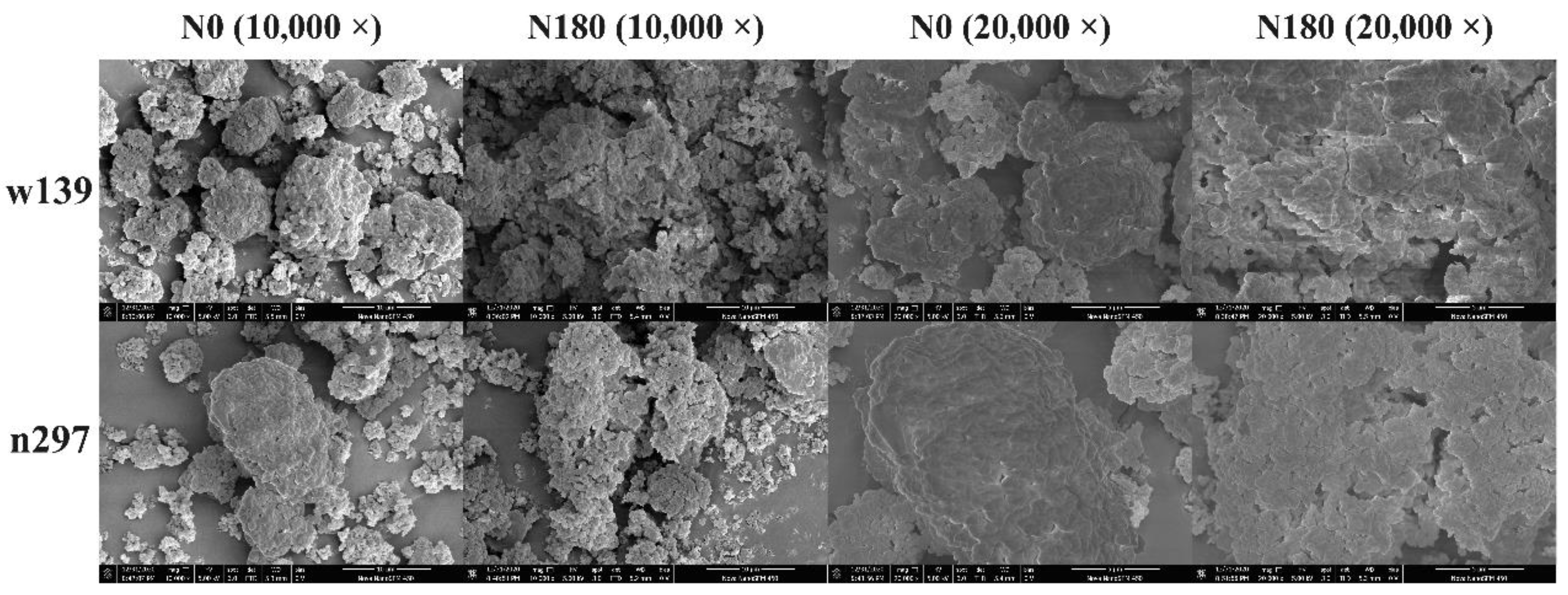 Foods 10 01332 g003 Foods 10 01332 g003