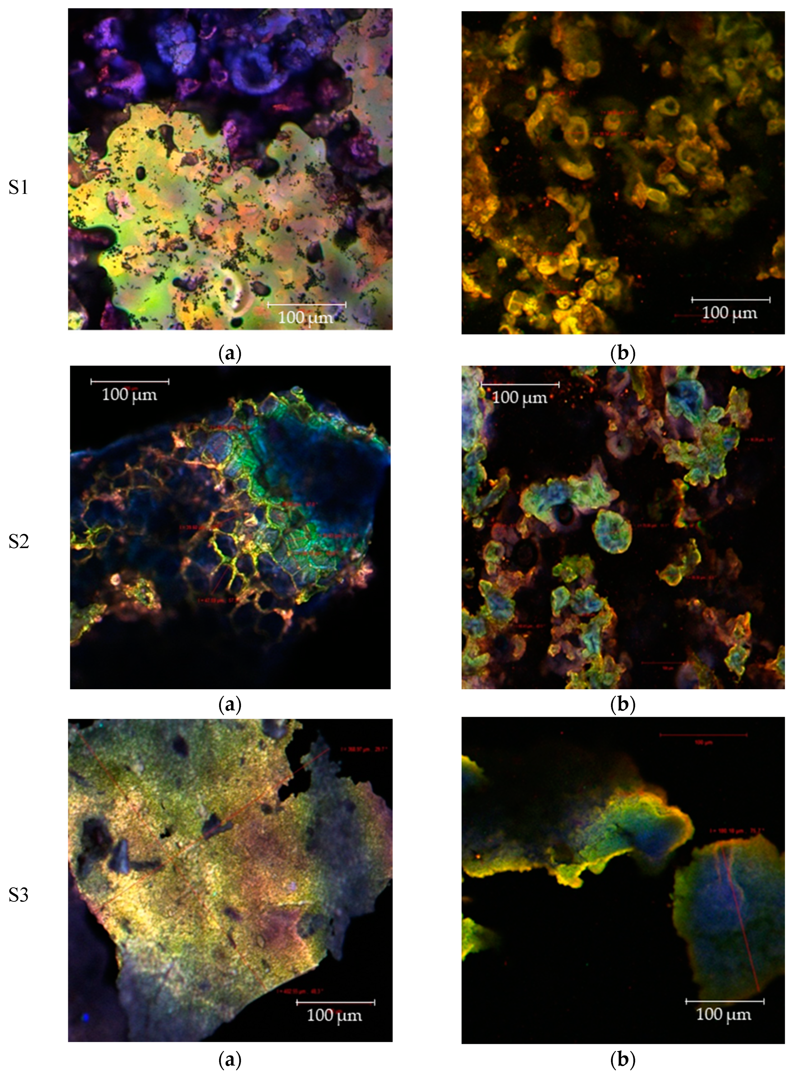 Foods 10 01342 g003 Foods 10 01342 g003