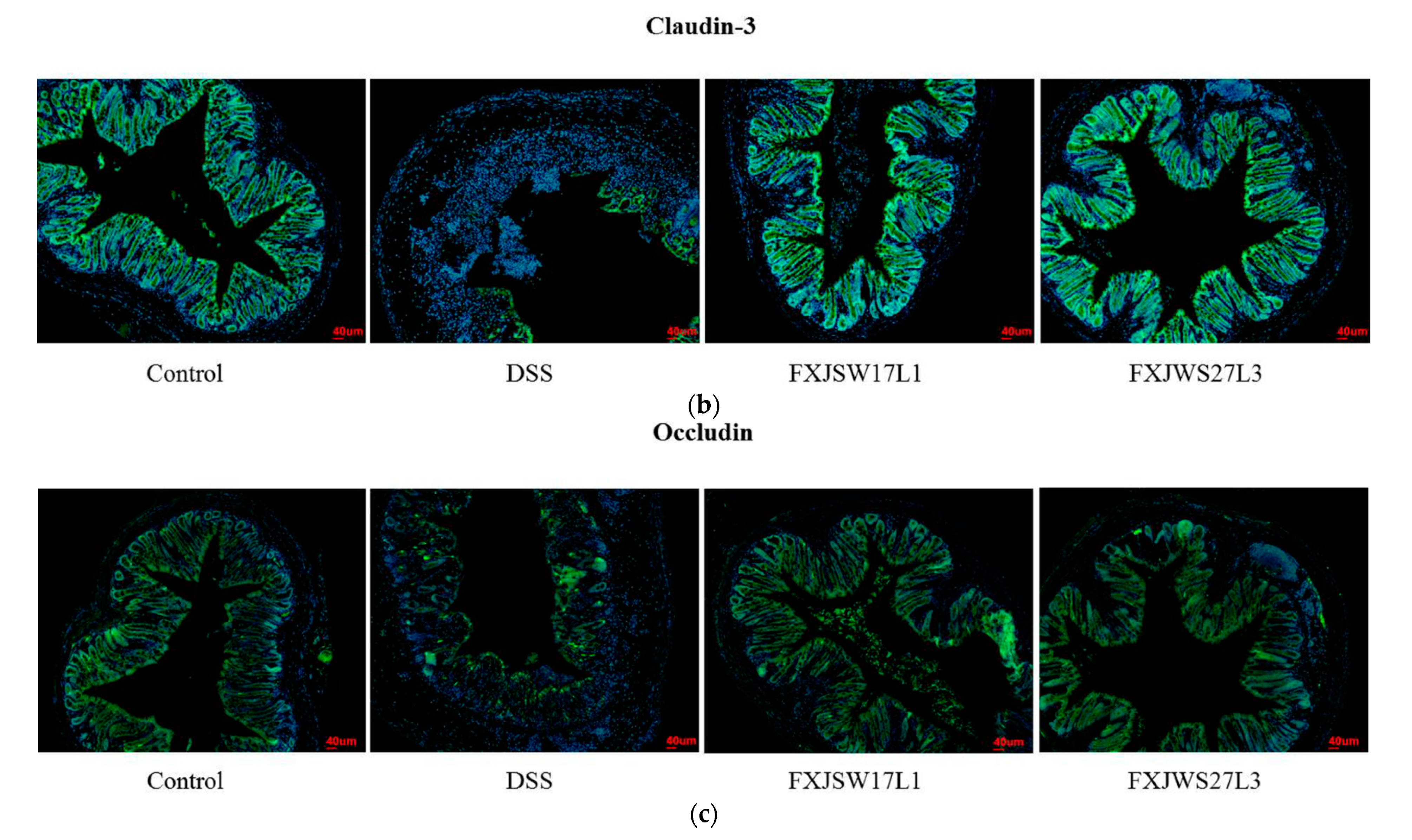 Foods 10 01349 g004b Foods 10 01349 g004b