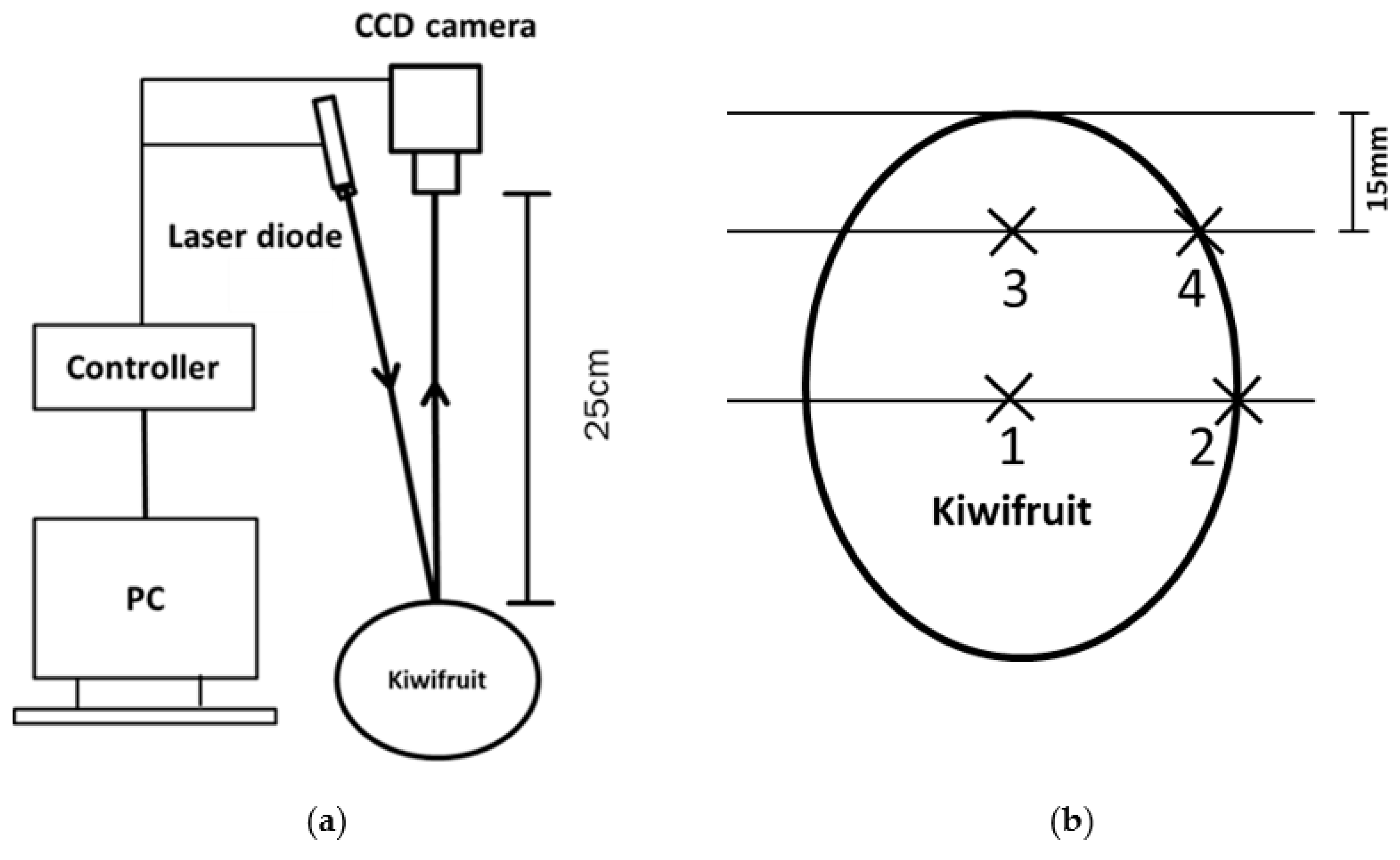 Foods 10 01446 g001