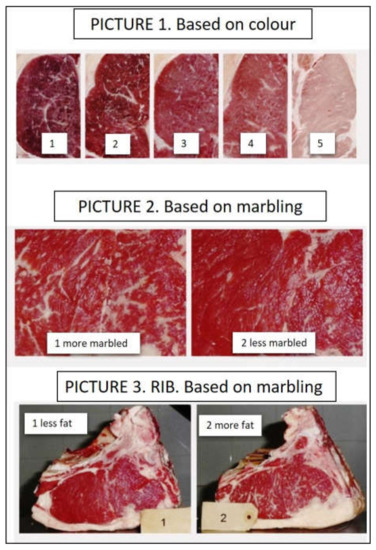 Foods 10 01465 g0a1 550