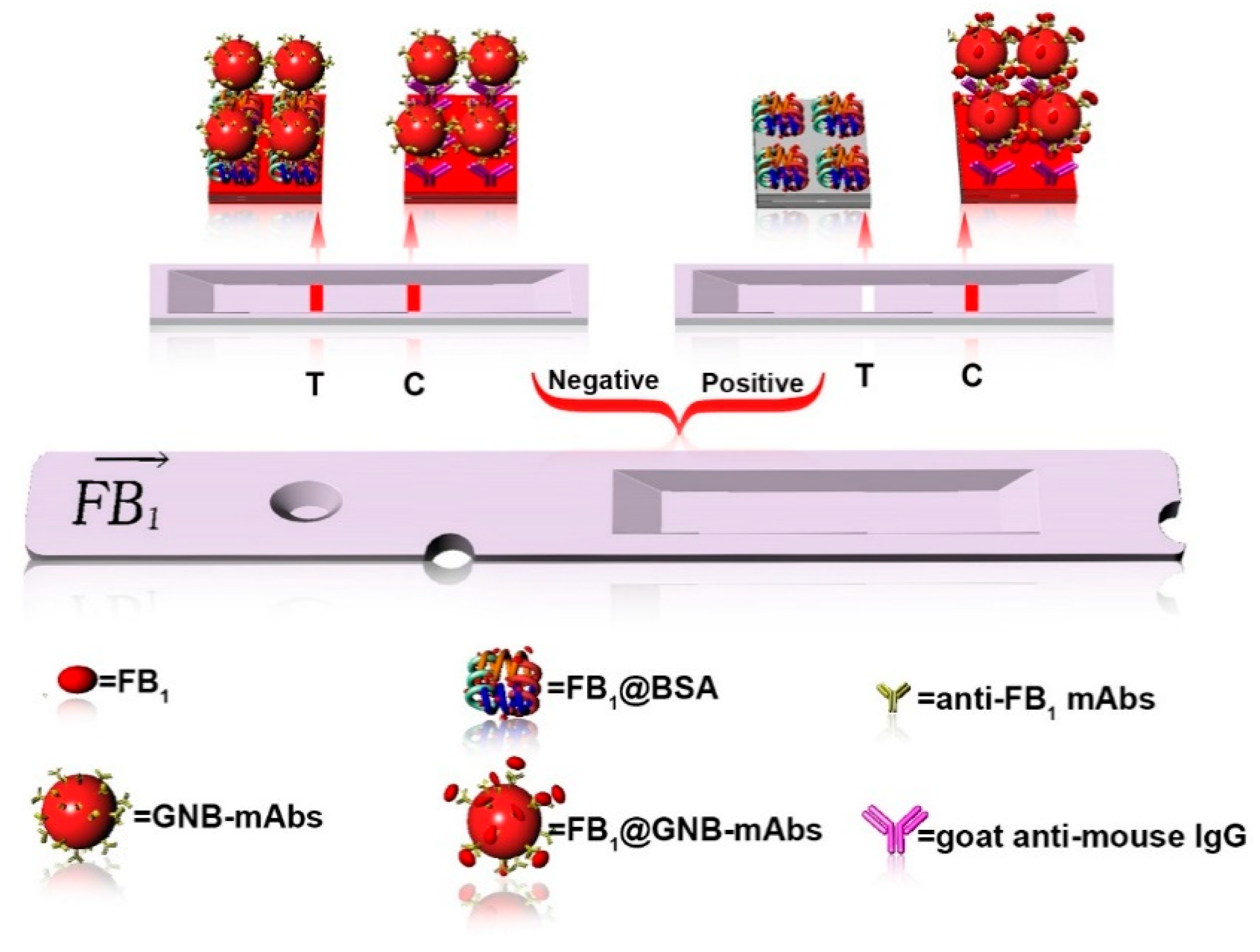 Foods 10 01488 sch001