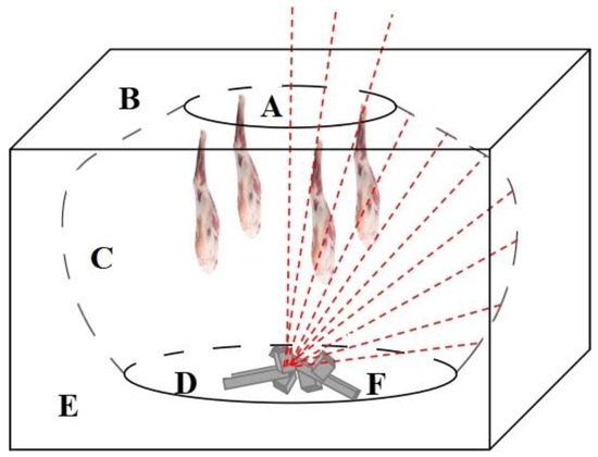 Foods 10 01508 g0a1 550