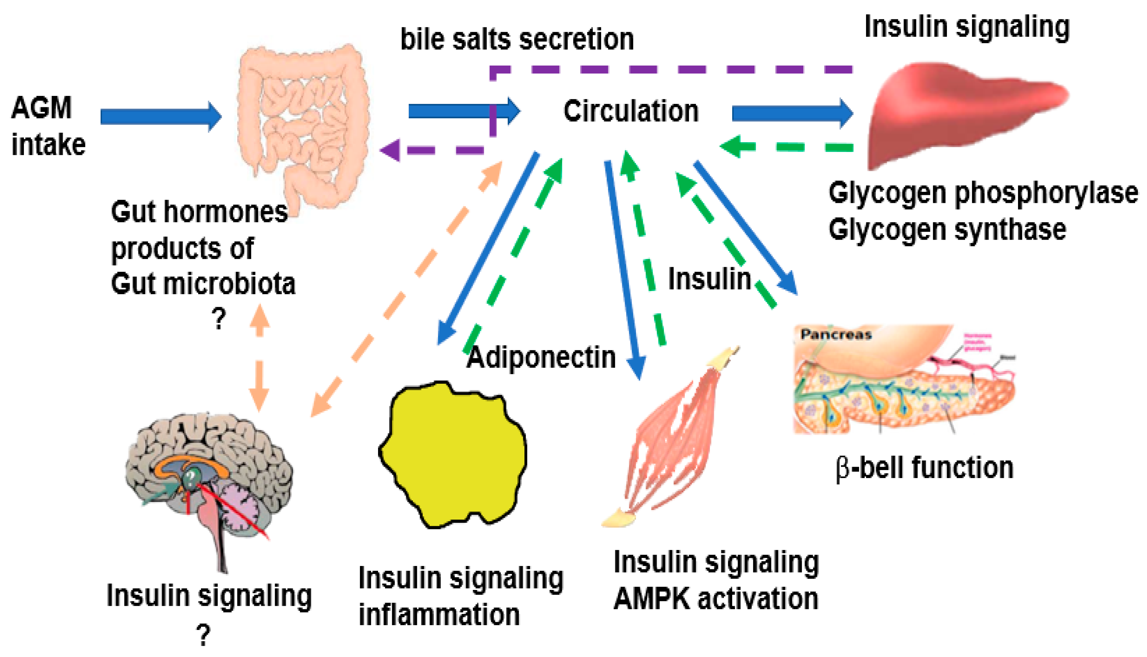 Foods 10 01558 g003 Foods 10 01558 g003