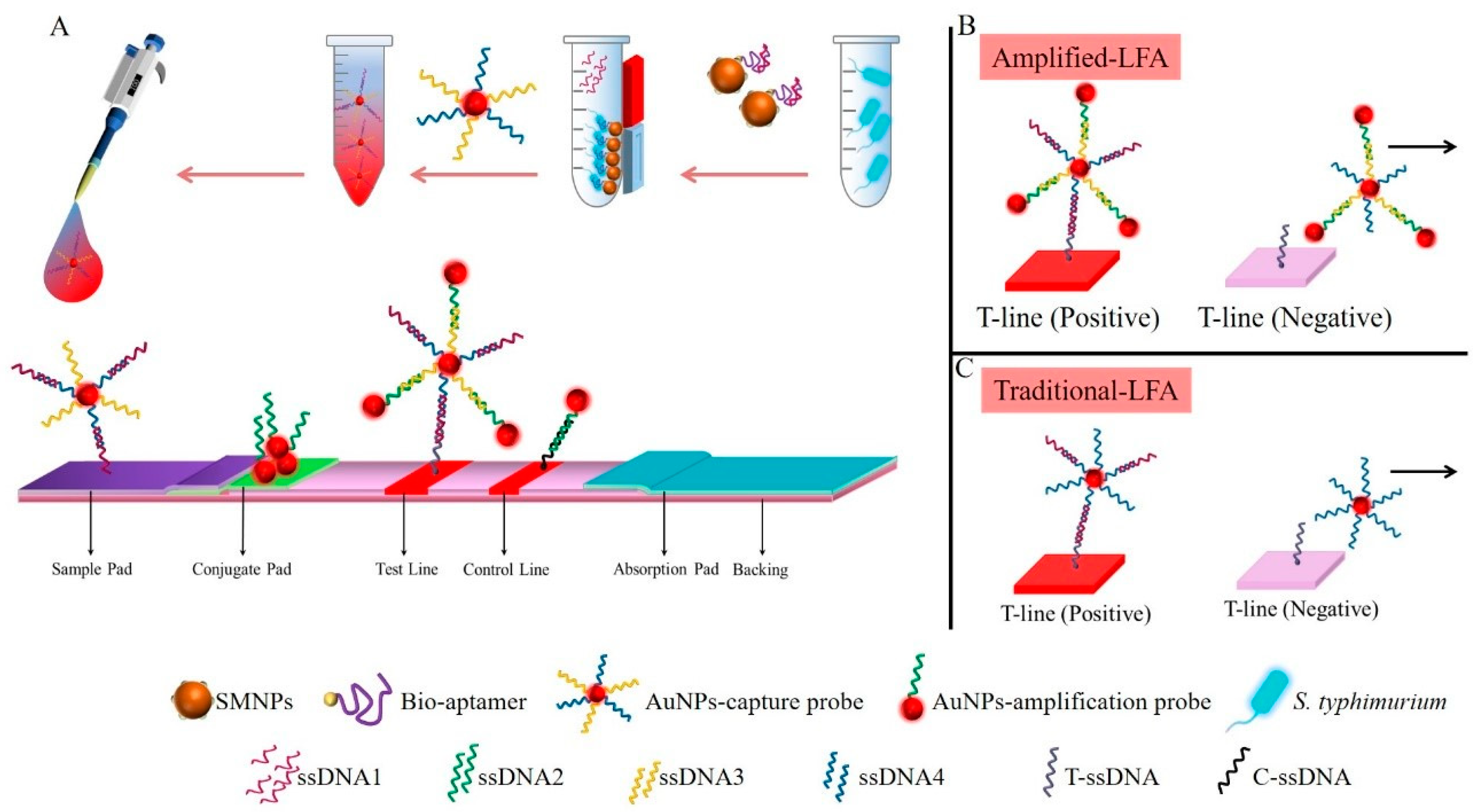 Foods 10 01605 g001 Foods 10 01605 g001