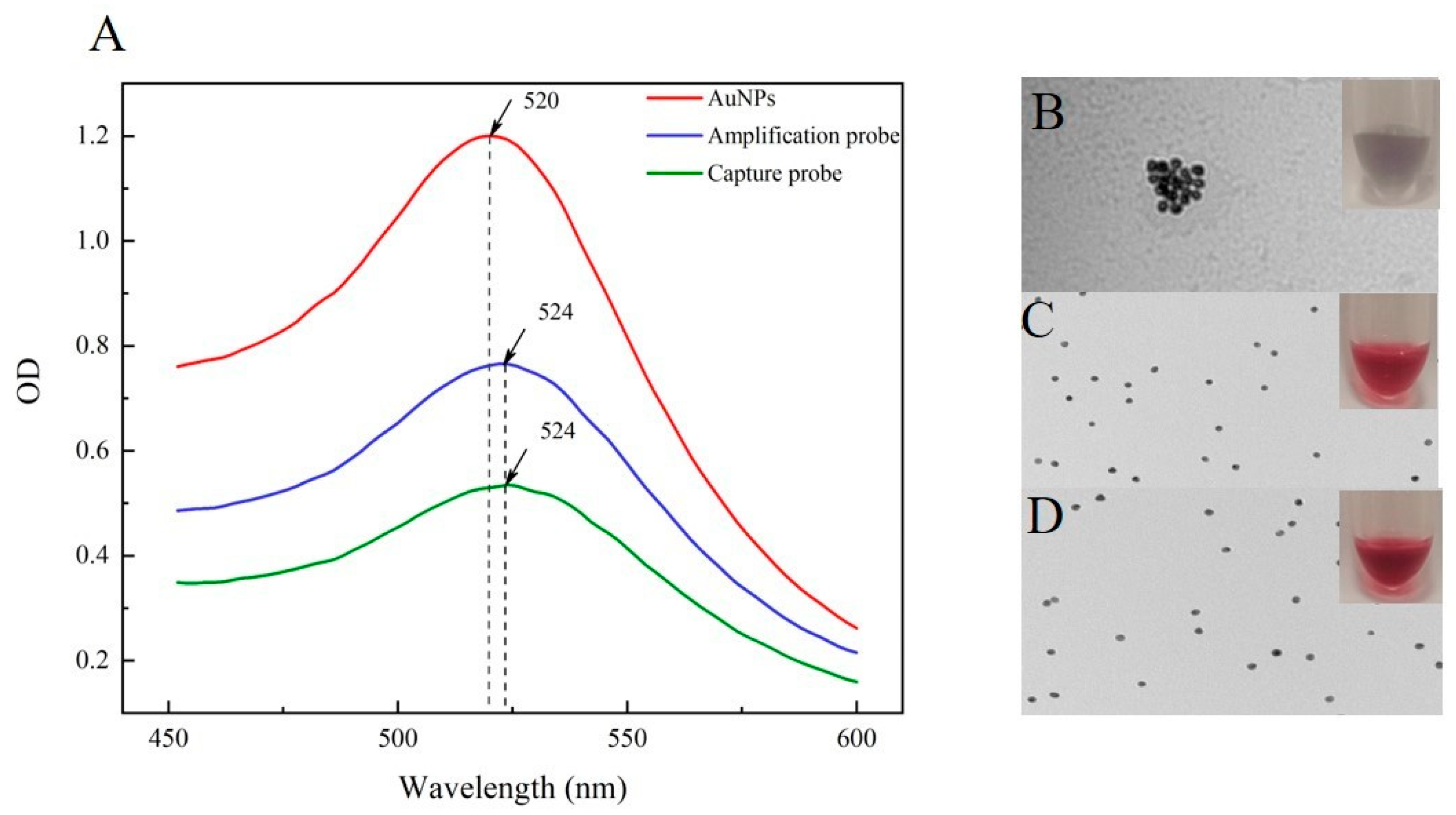 Foods 10 01605 g003 Foods 10 01605 g003