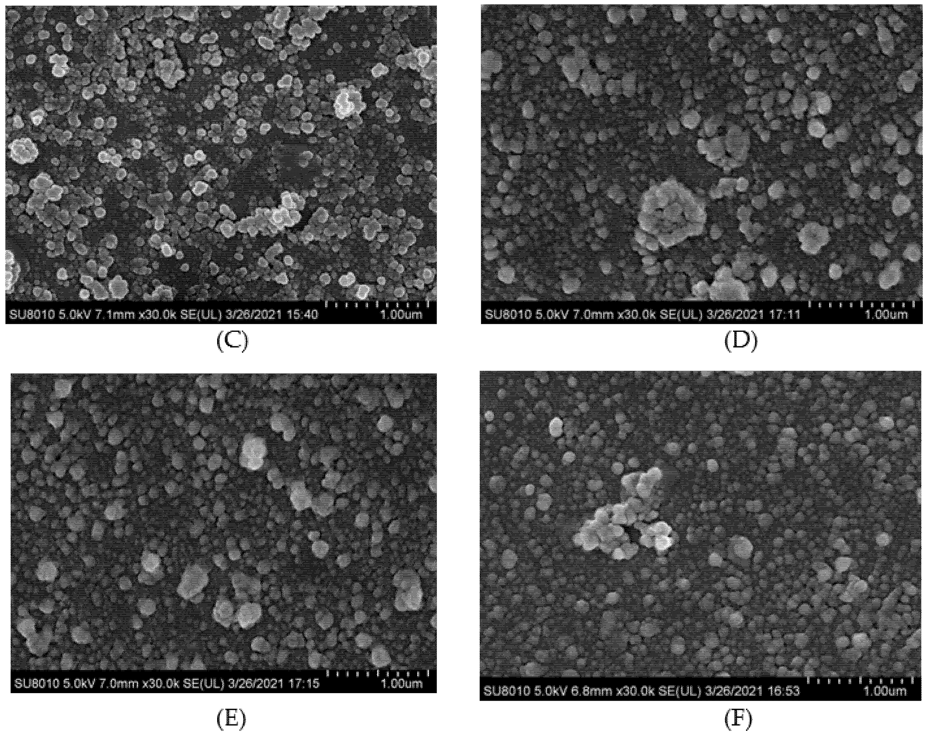 Foods 10 01618 g006b