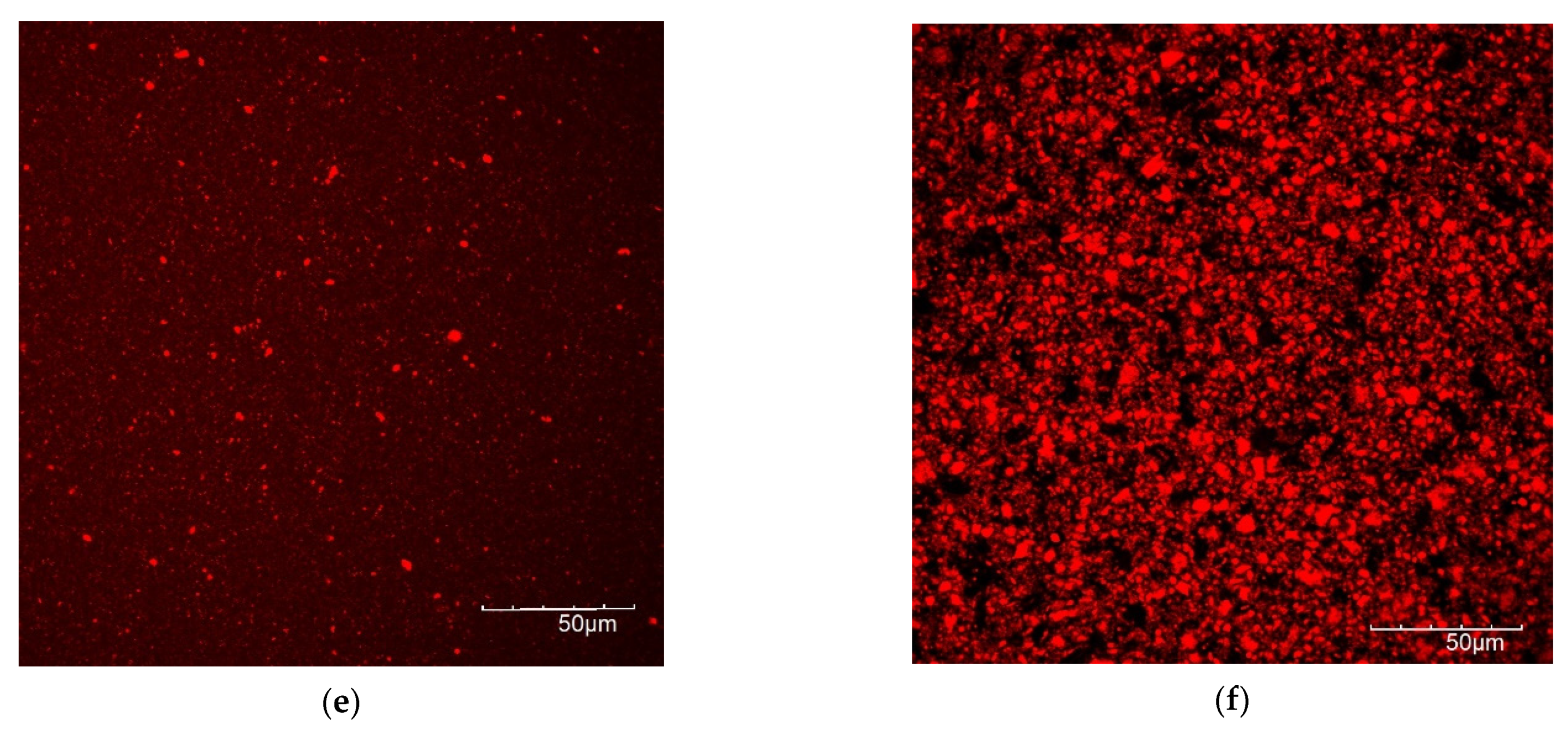 Foods 10 01692 g007b