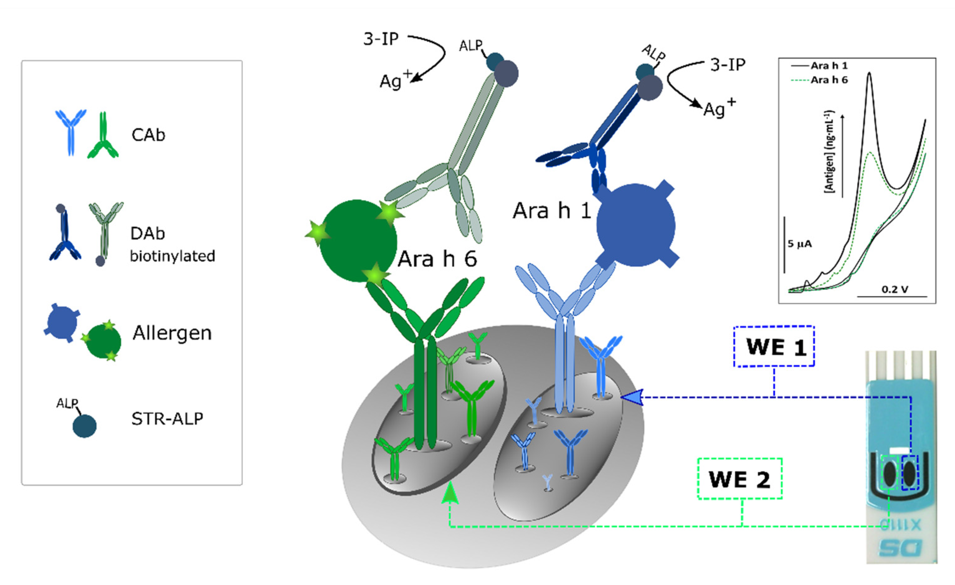 Foods 10 01718 g001 Foods 10 01718 g001