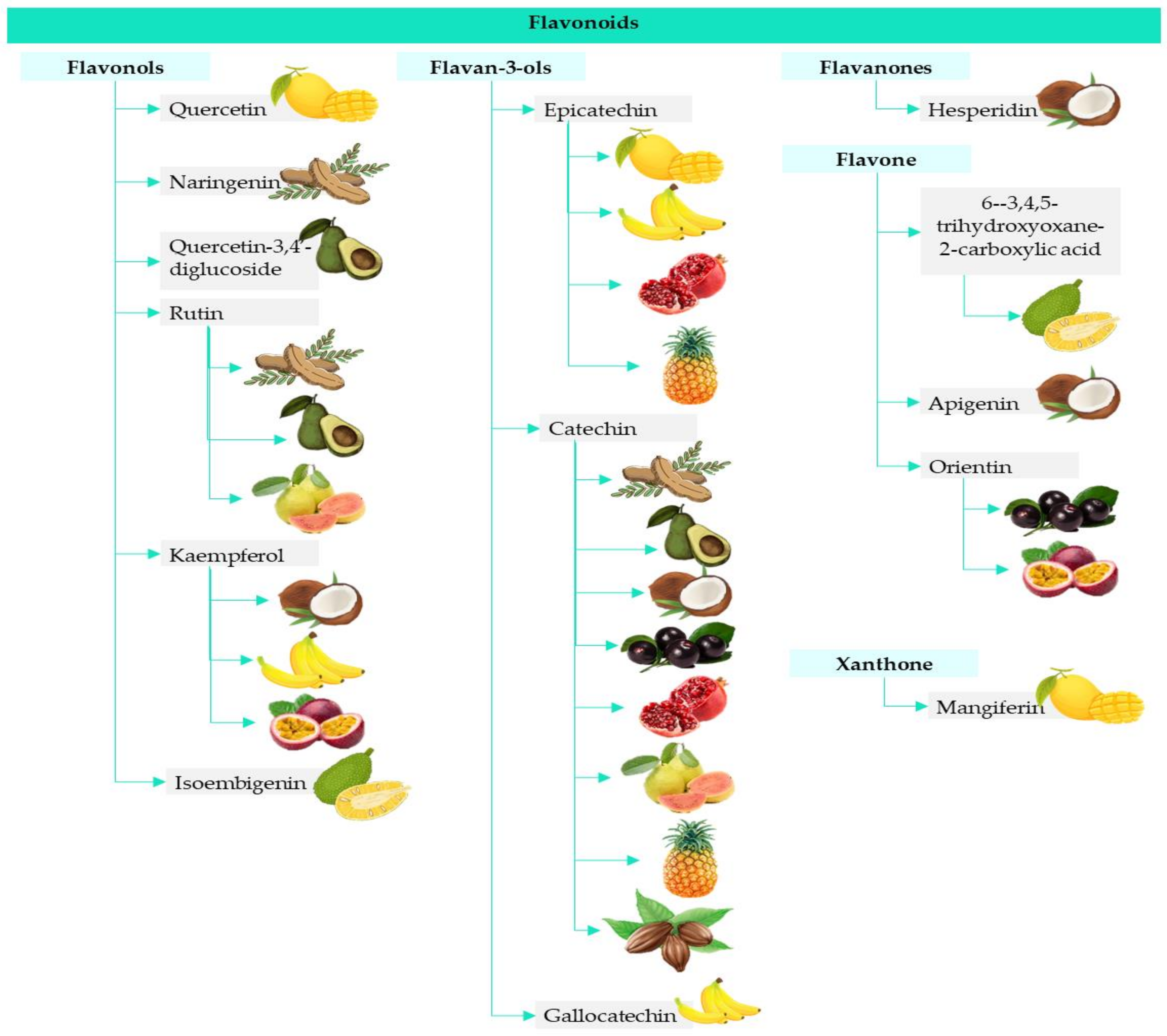 Foods 10 01952 g002 Foods 10 01952 g002
