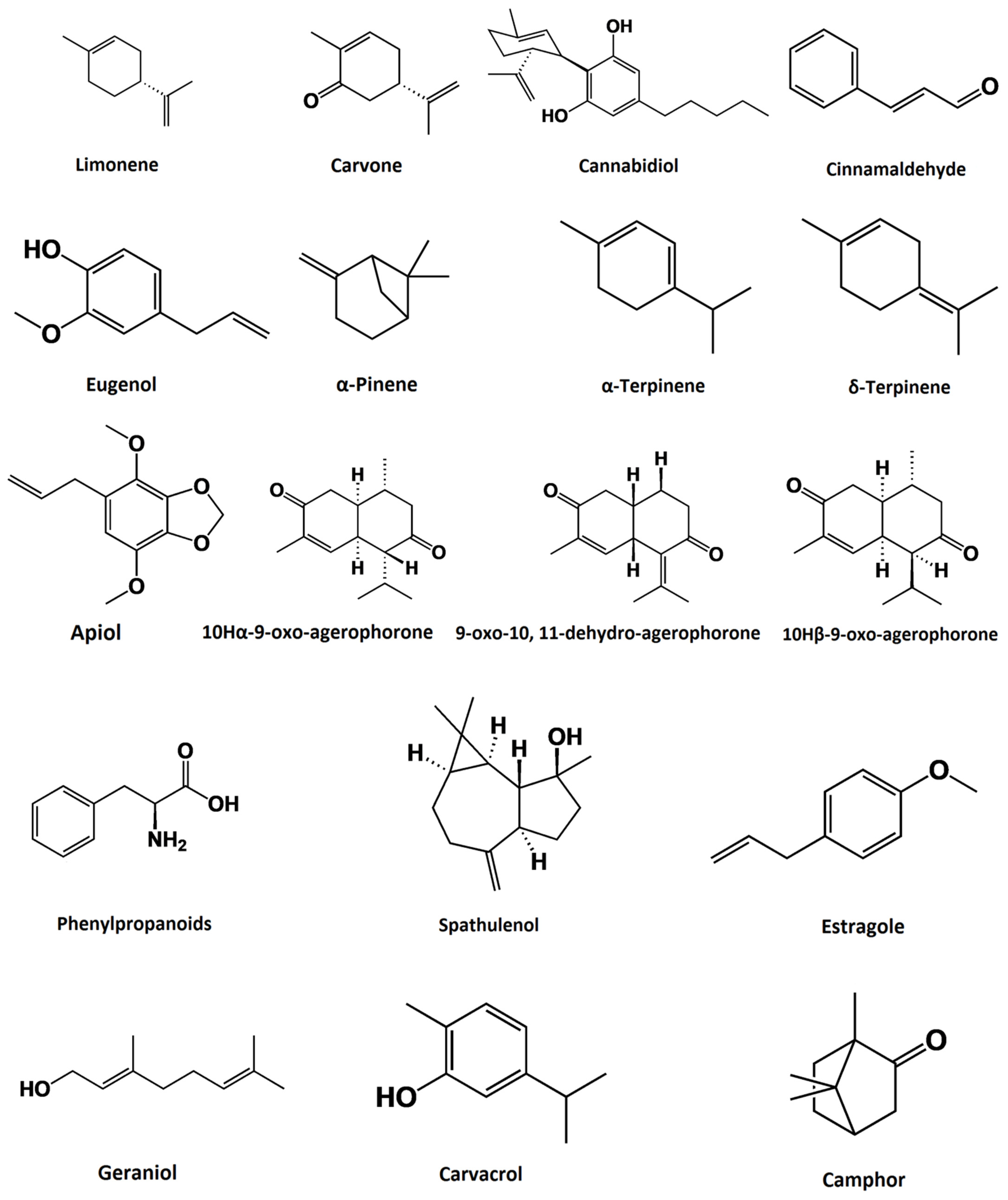 Foods 10 02016 g003b