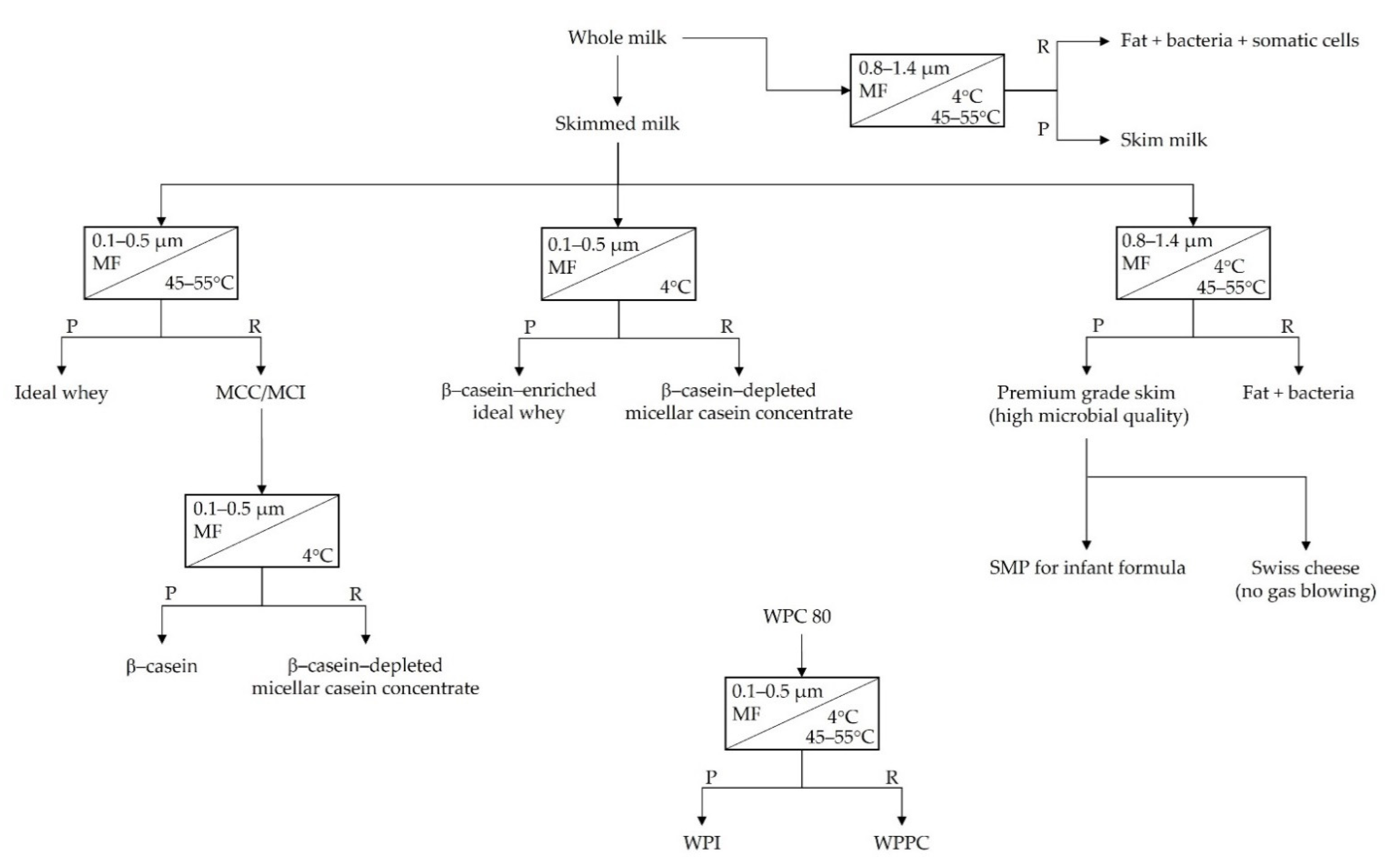 Foods 10 02091 g004 Foods 10 02091 g004