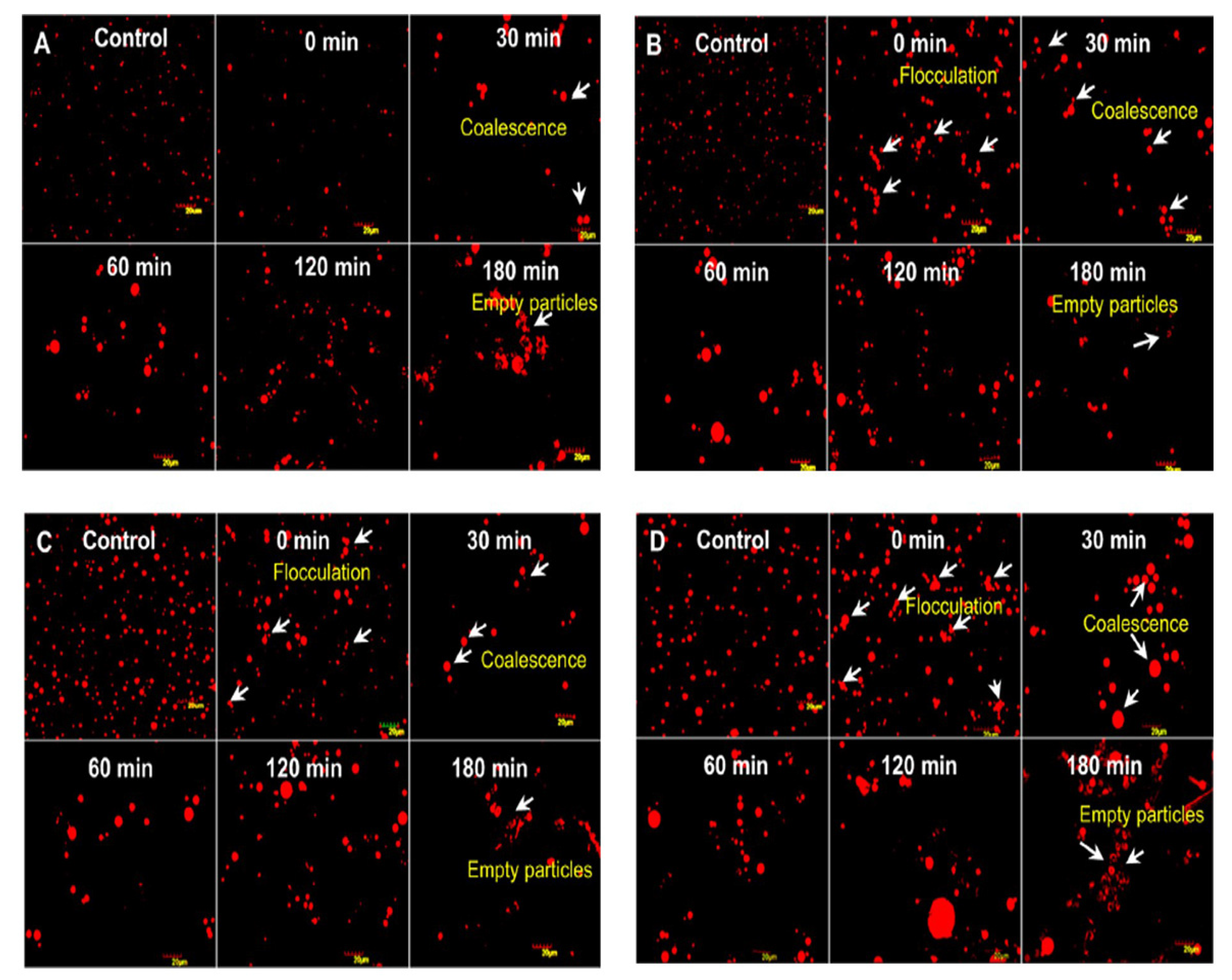 Foods 10 02158 g003 Foods 10 02158 g003