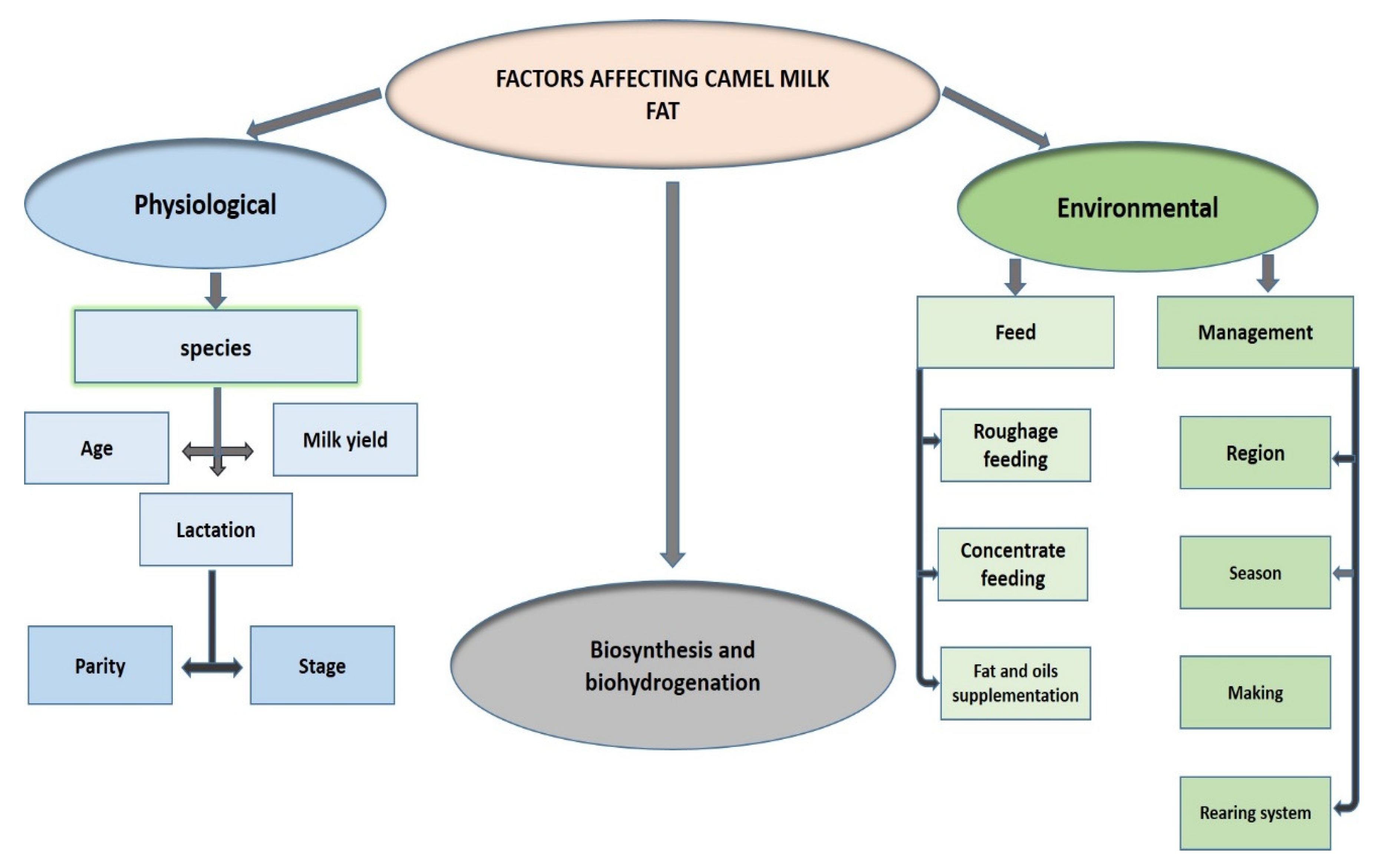 Foods 10 02158 g005 Foods 10 02158 g005