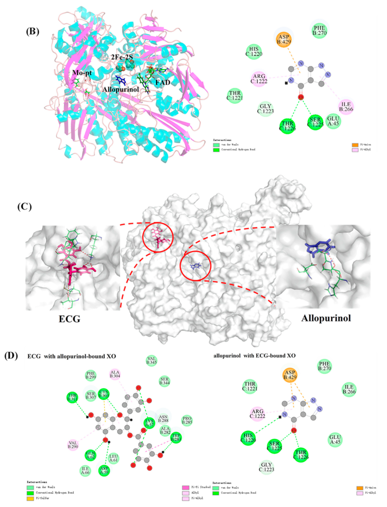 Foods 10 02191 g007b