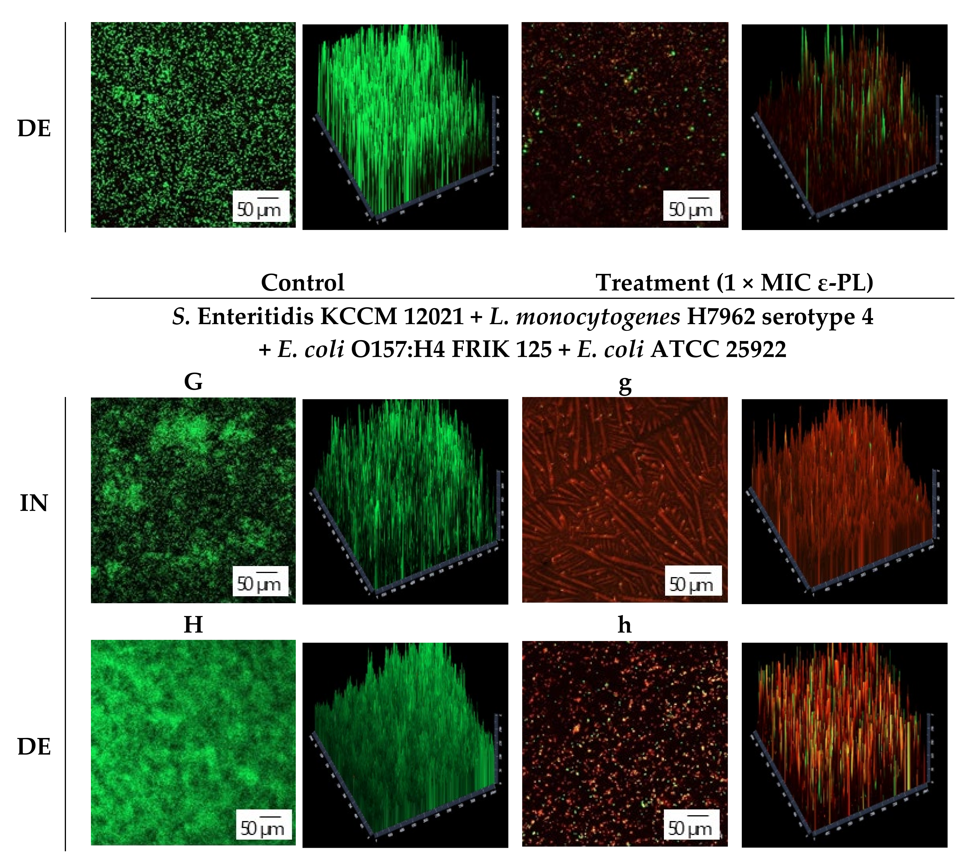 Foods 10 02211 g004b