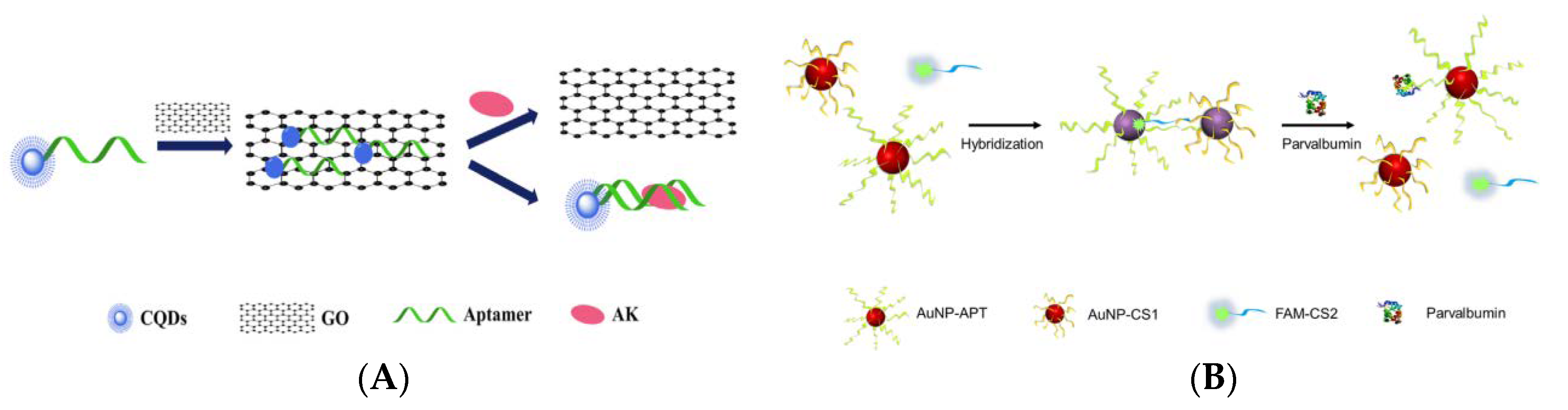 Foods 10 02598 g003a