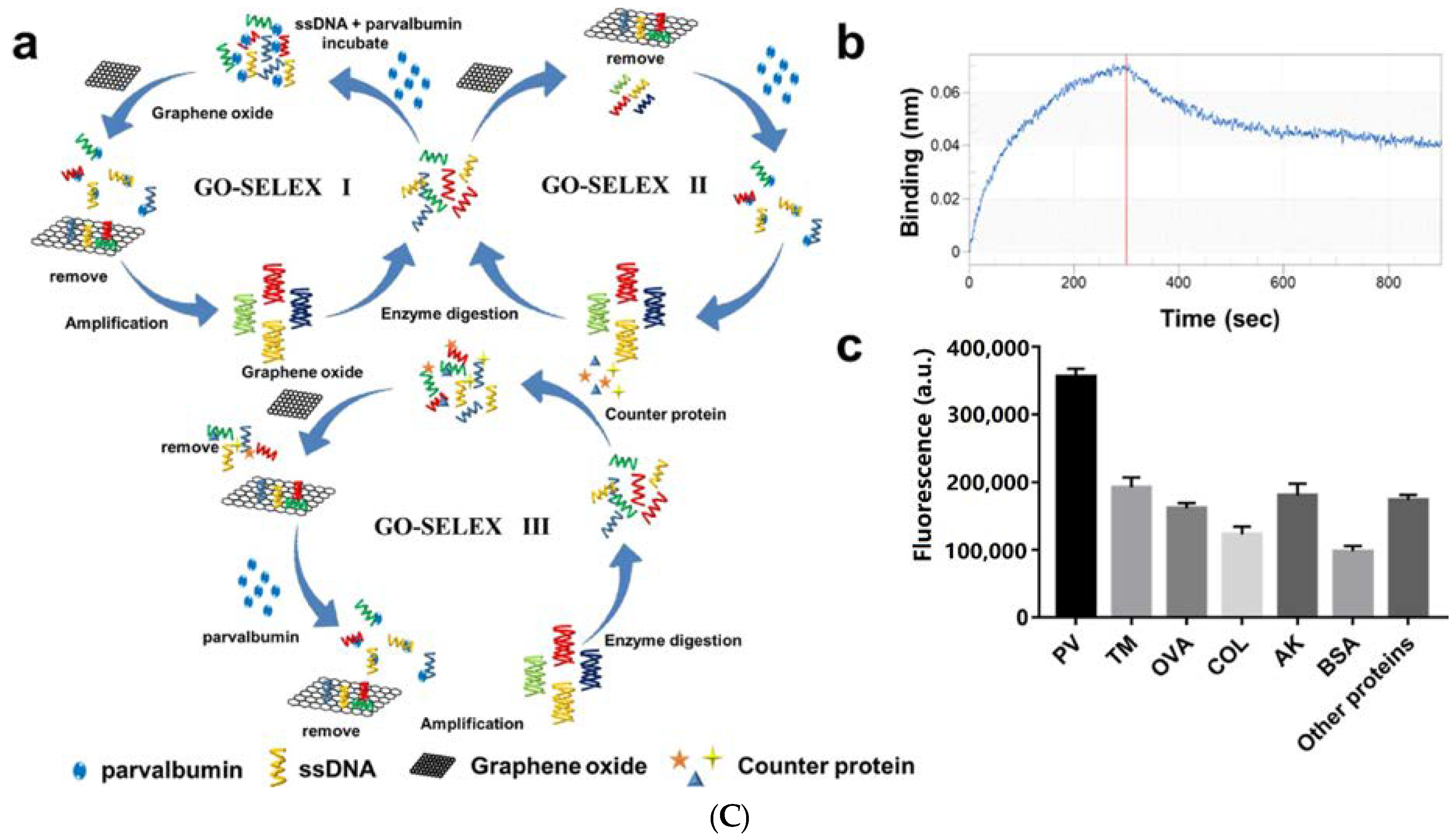 Foods 10 02598 g003b