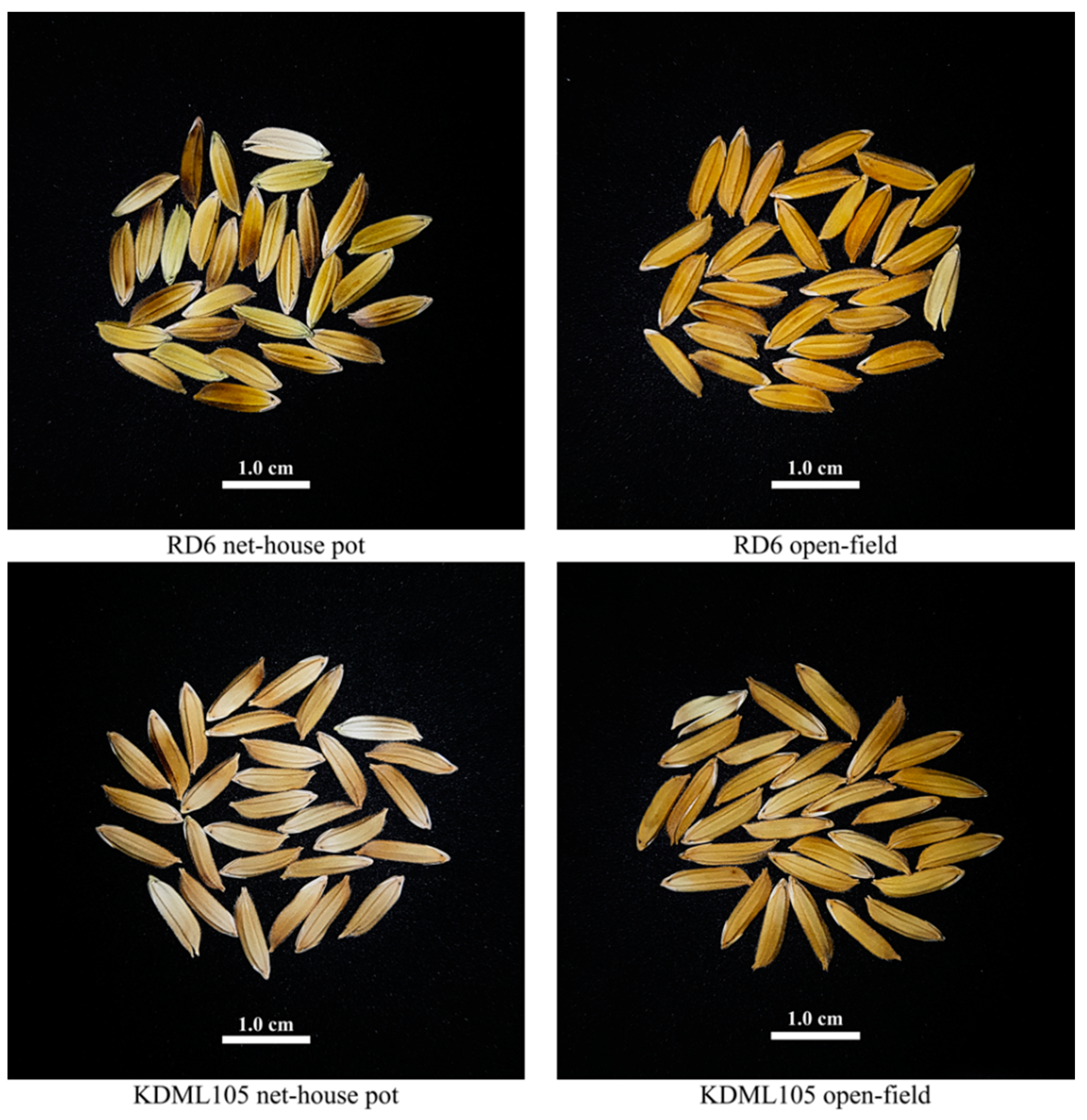 Foods 10 02601 g001 Foods 10 02601 g001