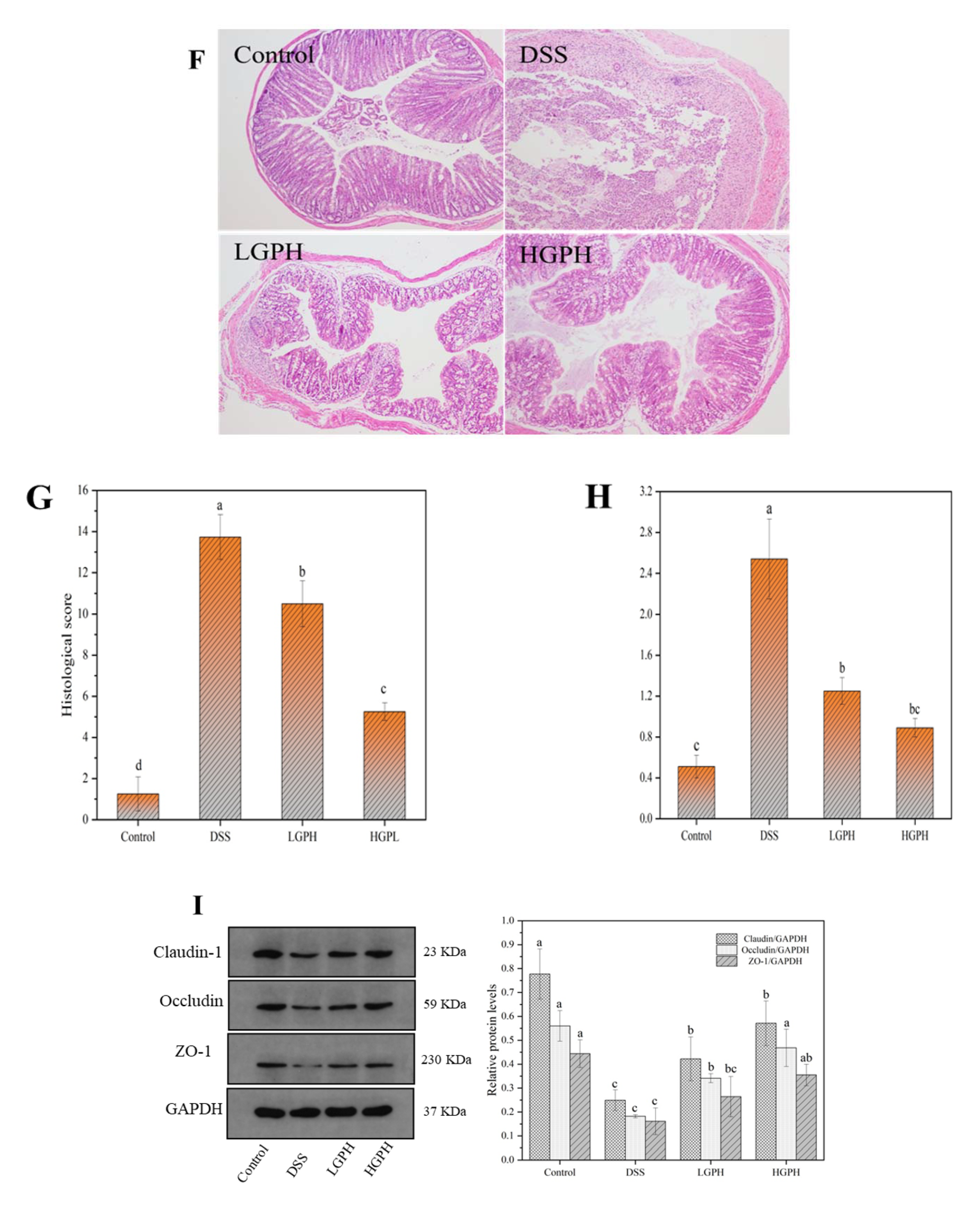Foods 10 02765 g002b