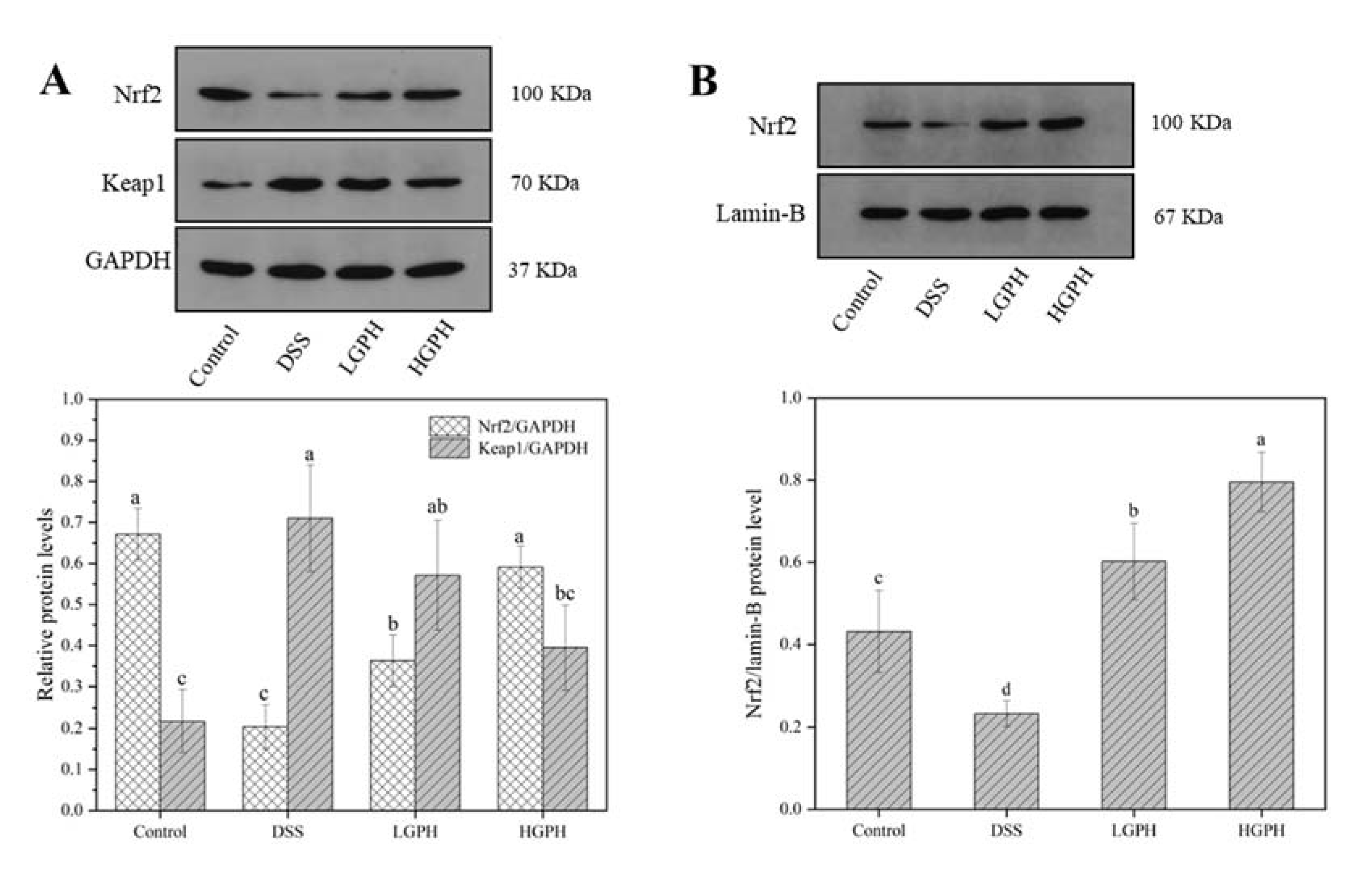 Foods 10 02765 g004a