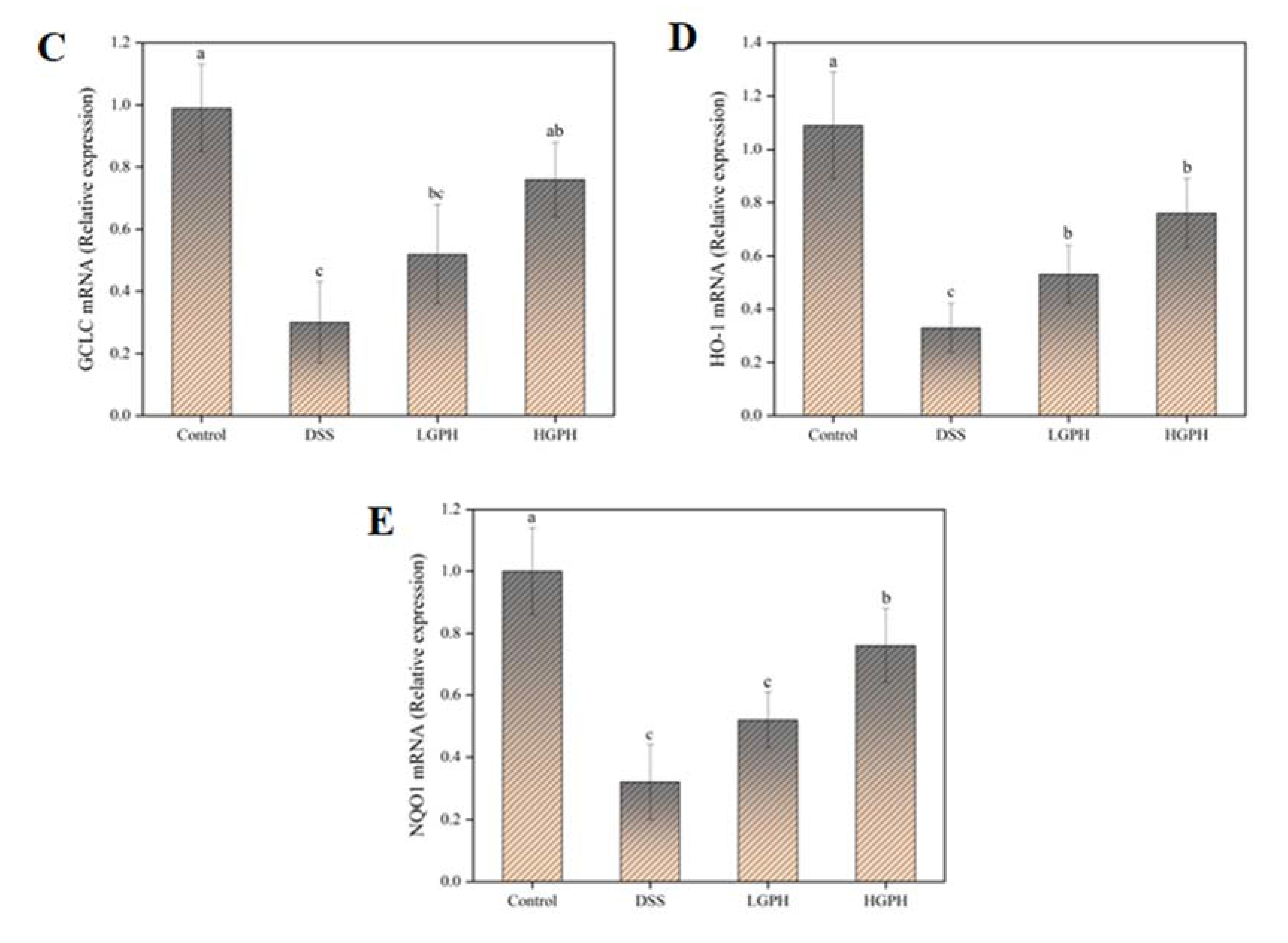 Foods 10 02765 g004b