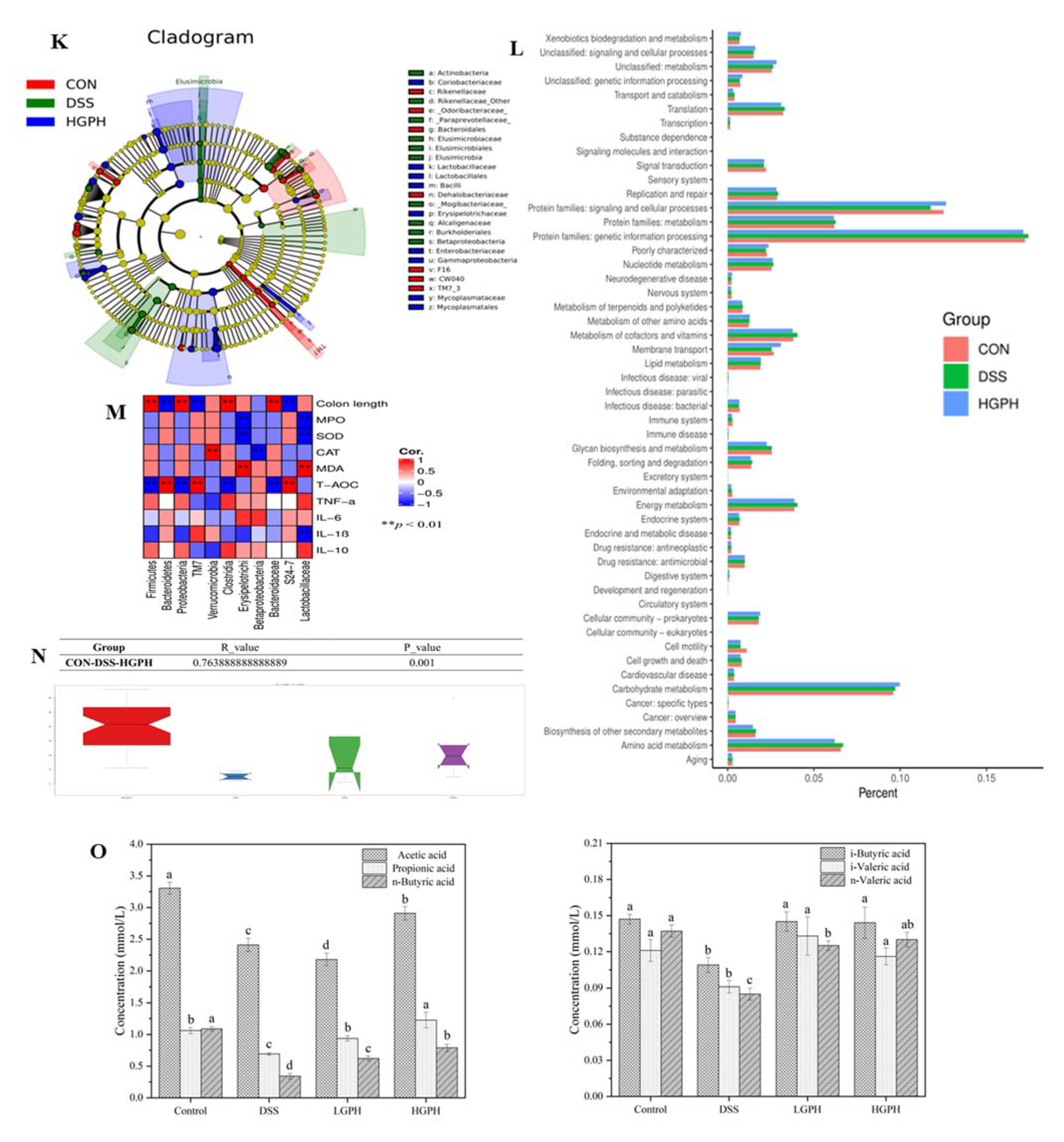 Foods 10 02765 g005b