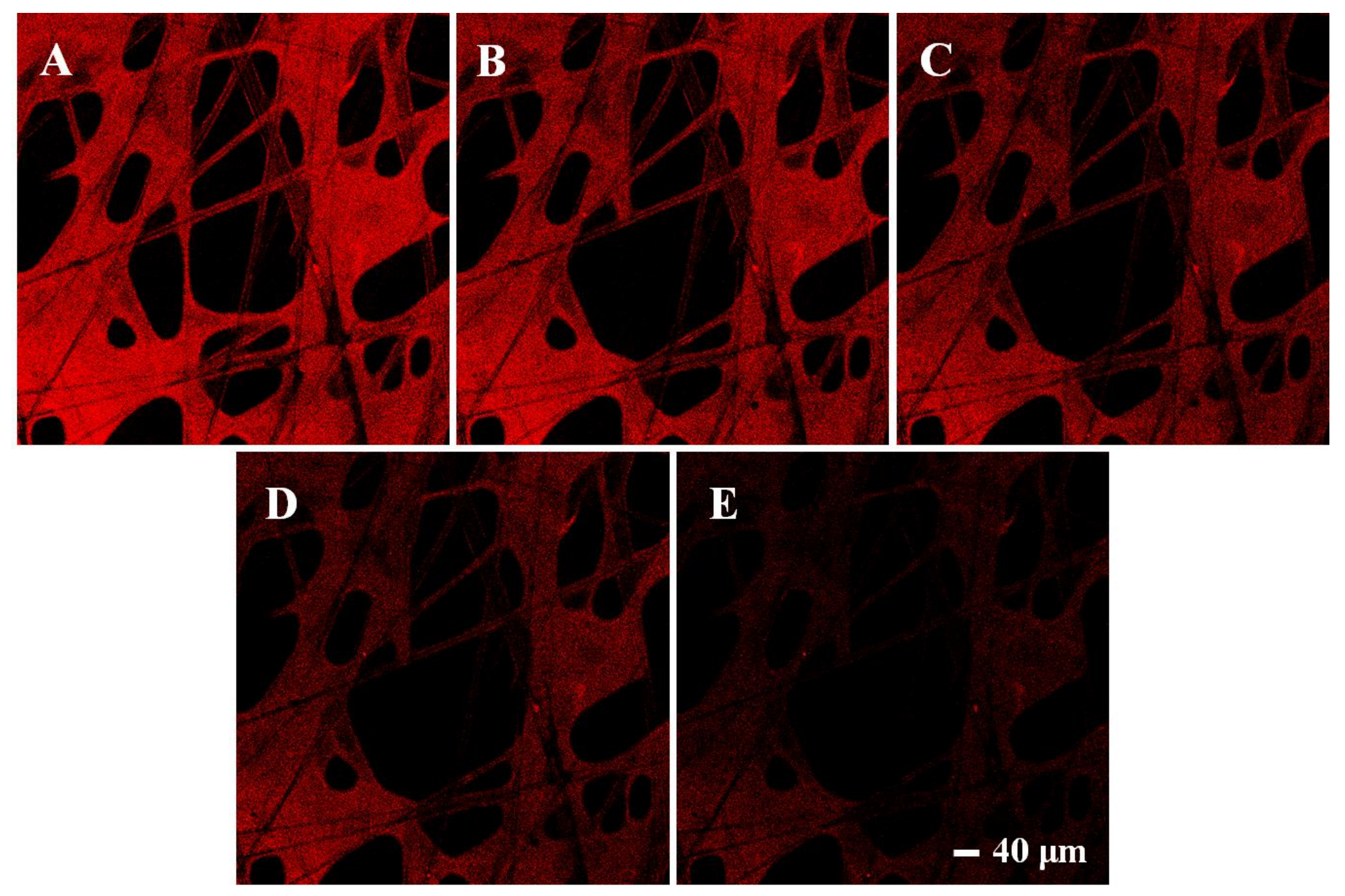 Foods 10 02810 g009 Foods 10 02810 g009