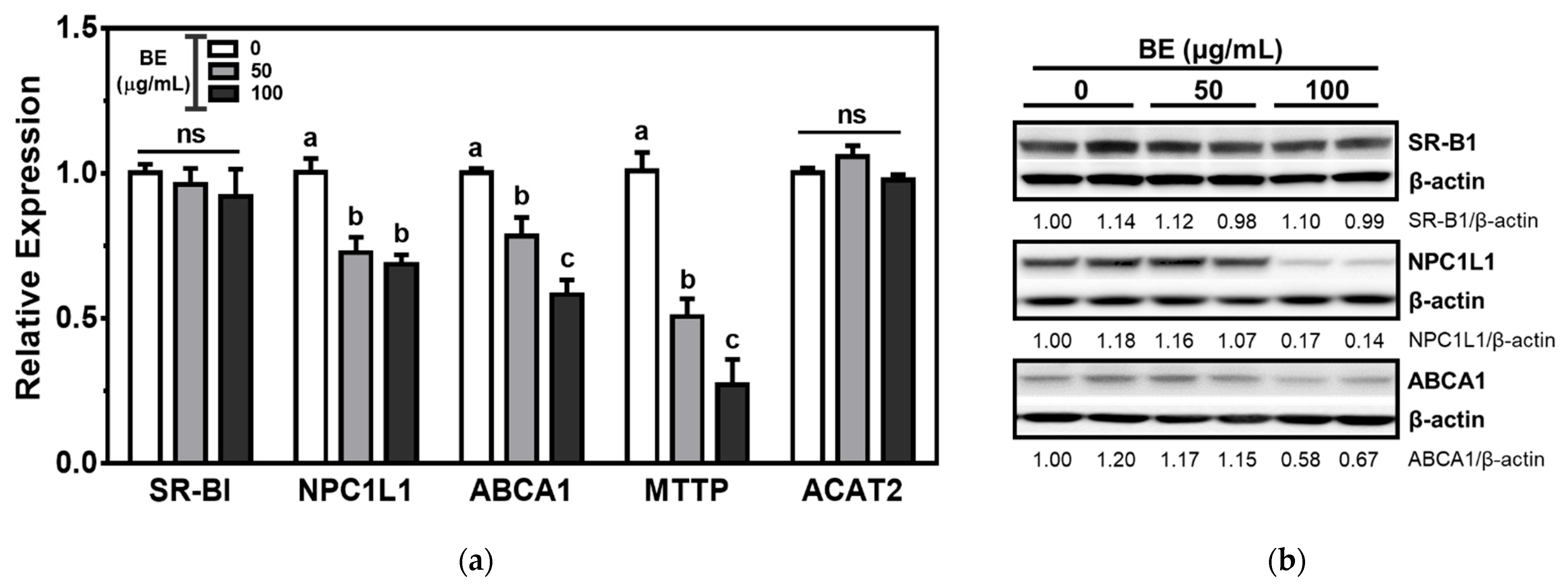 Foods 10 02852 g002 Foods 10 02852 g002