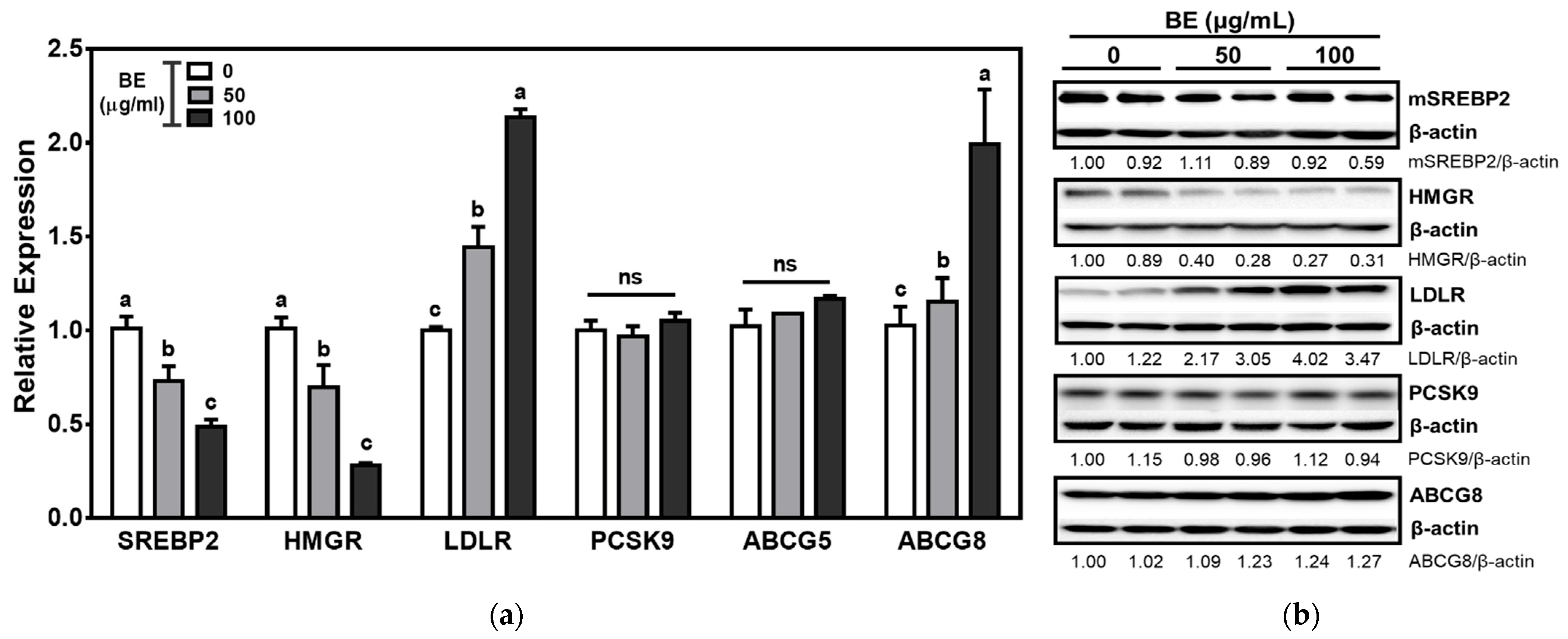 Foods 10 02852 g003 Foods 10 02852 g003