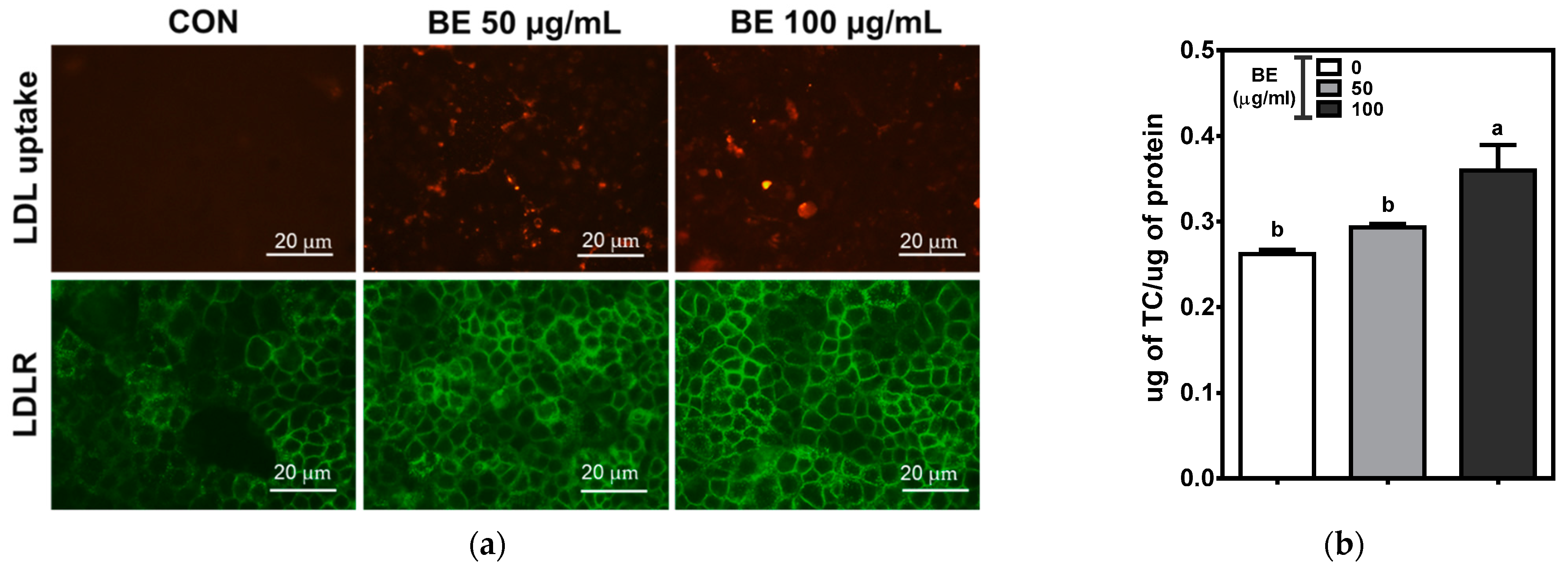 Foods 10 02852 g004 Foods 10 02852 g004