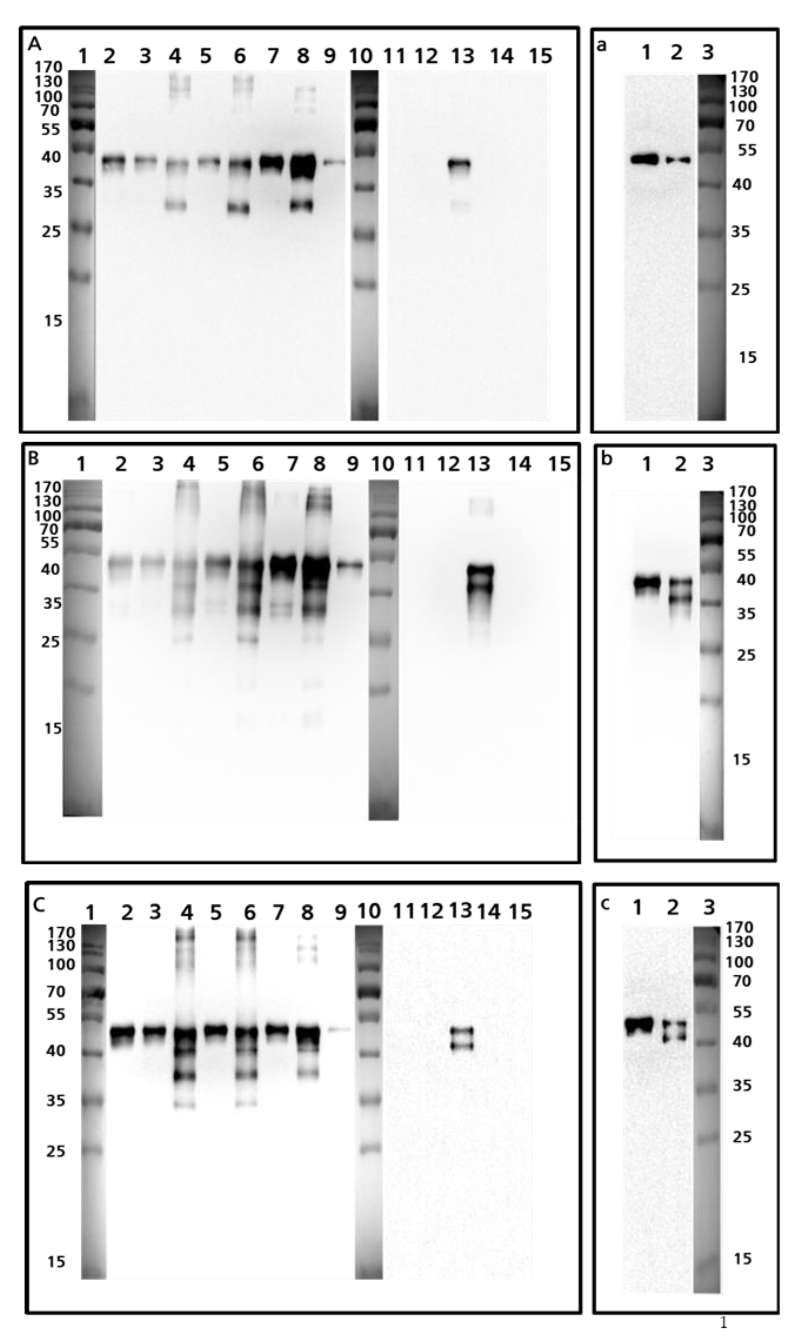 Foods 10 02932 g002a