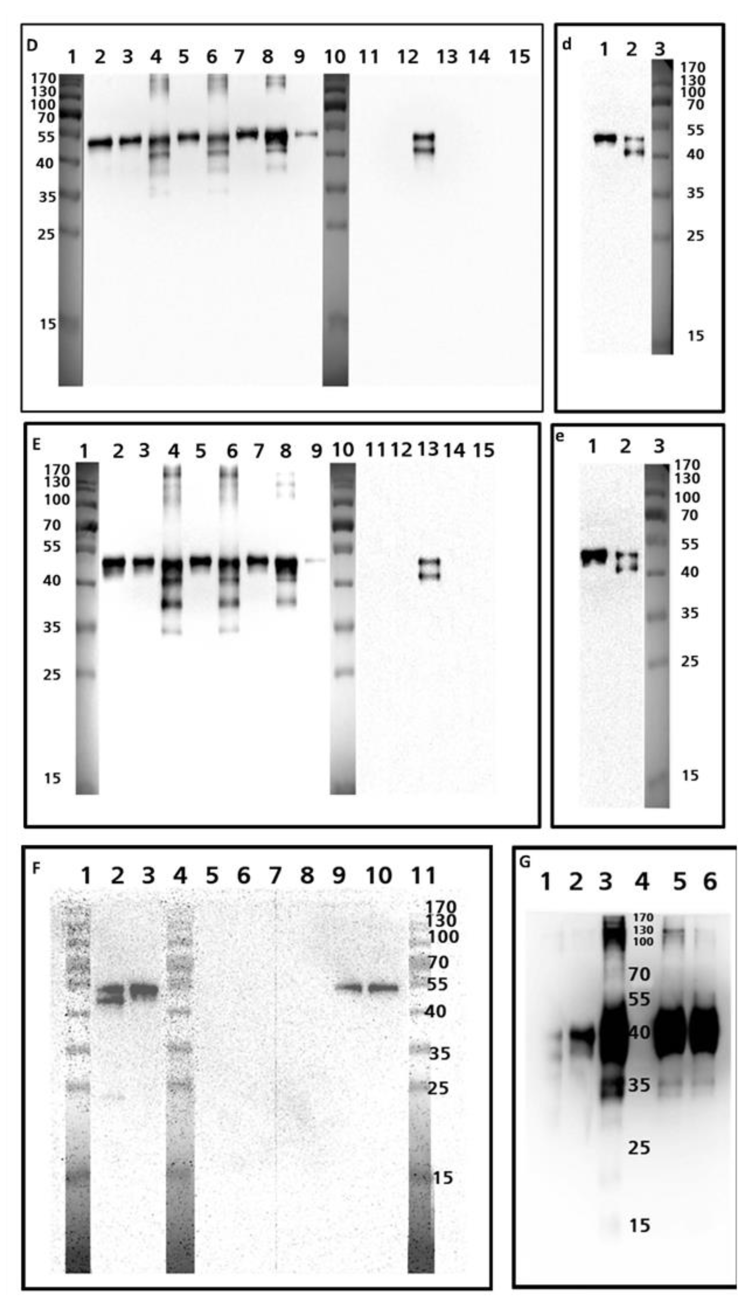 Foods 10 02932 g002b